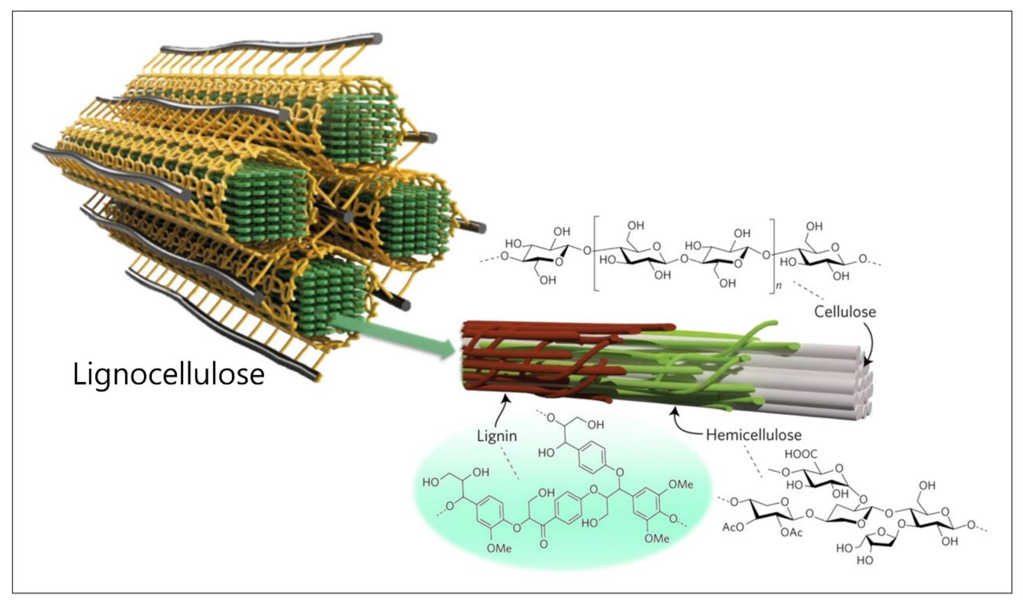 Polymers 14 00673 g001