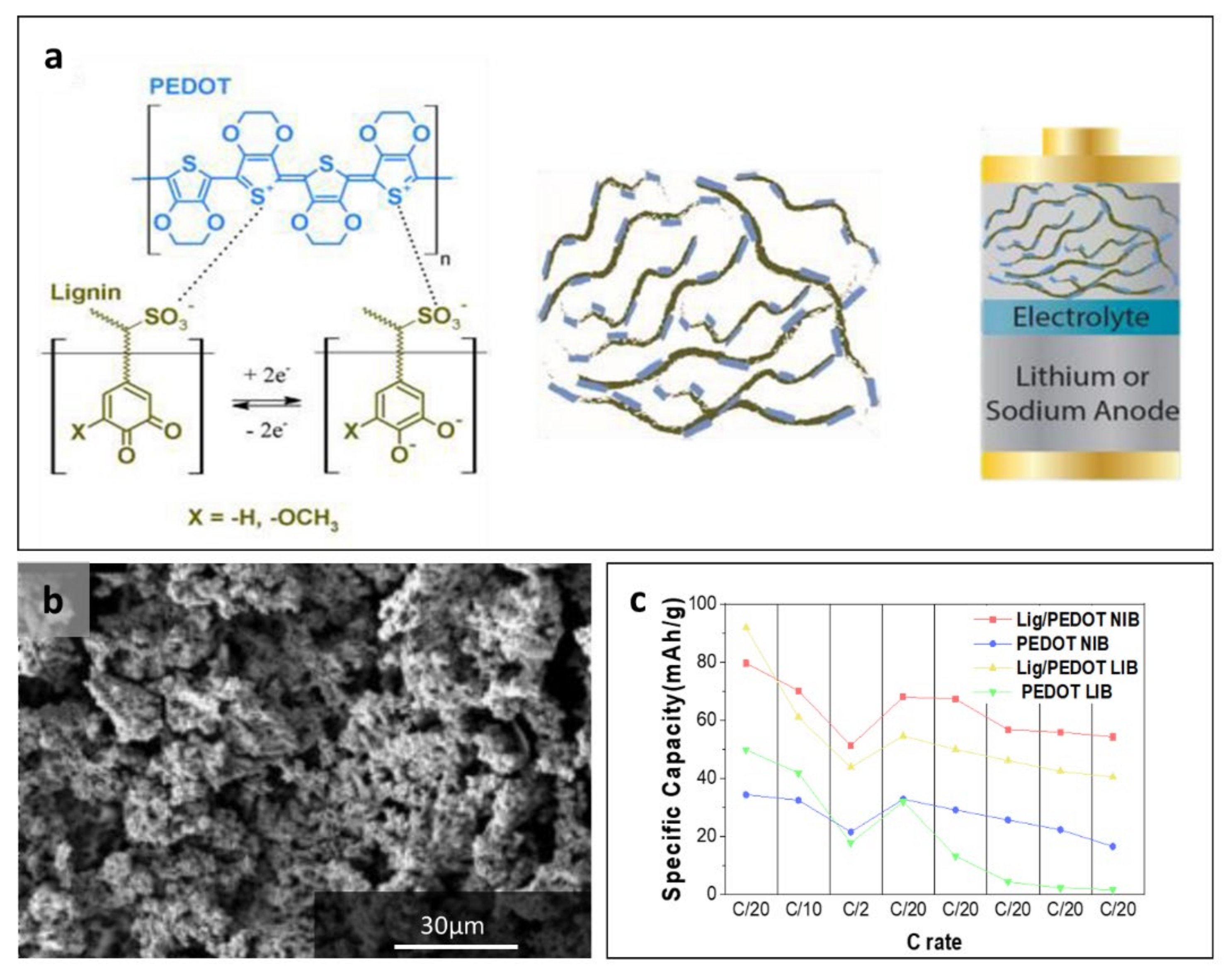 Polymers 14 00673 g009