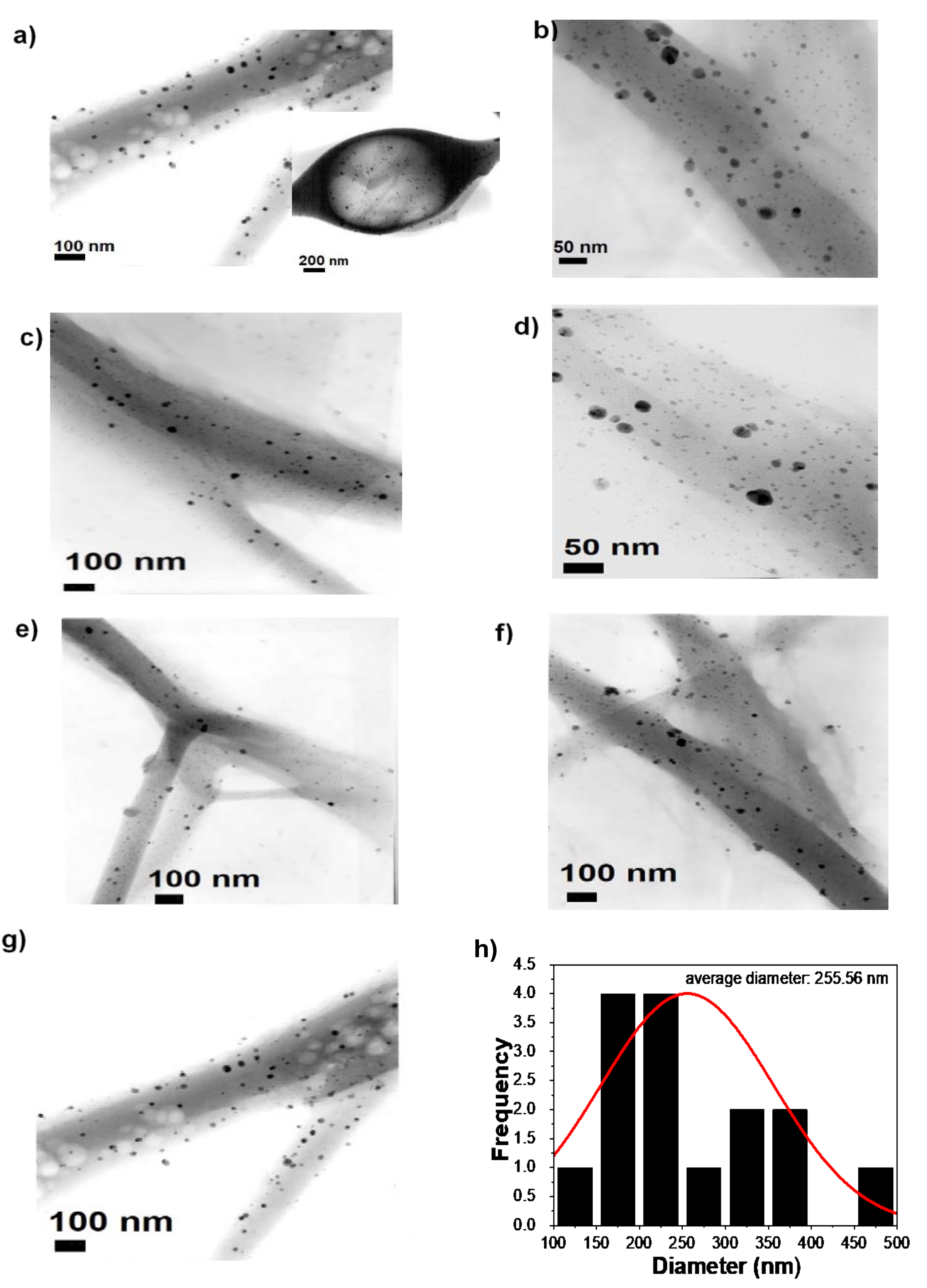 Polymers 14 00674 g006