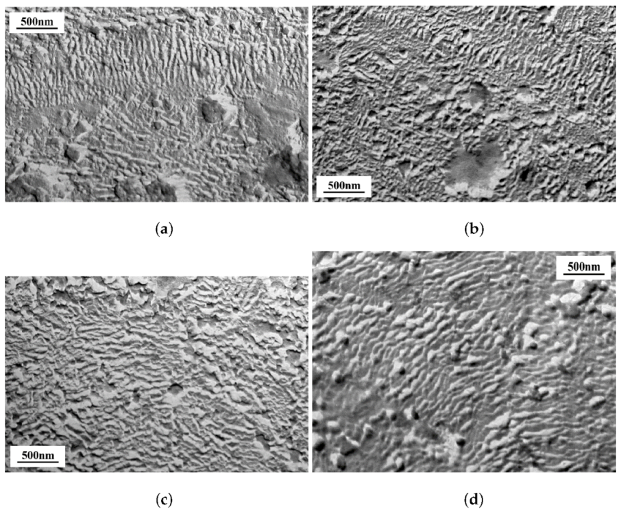 Polymers 14 00675 g006