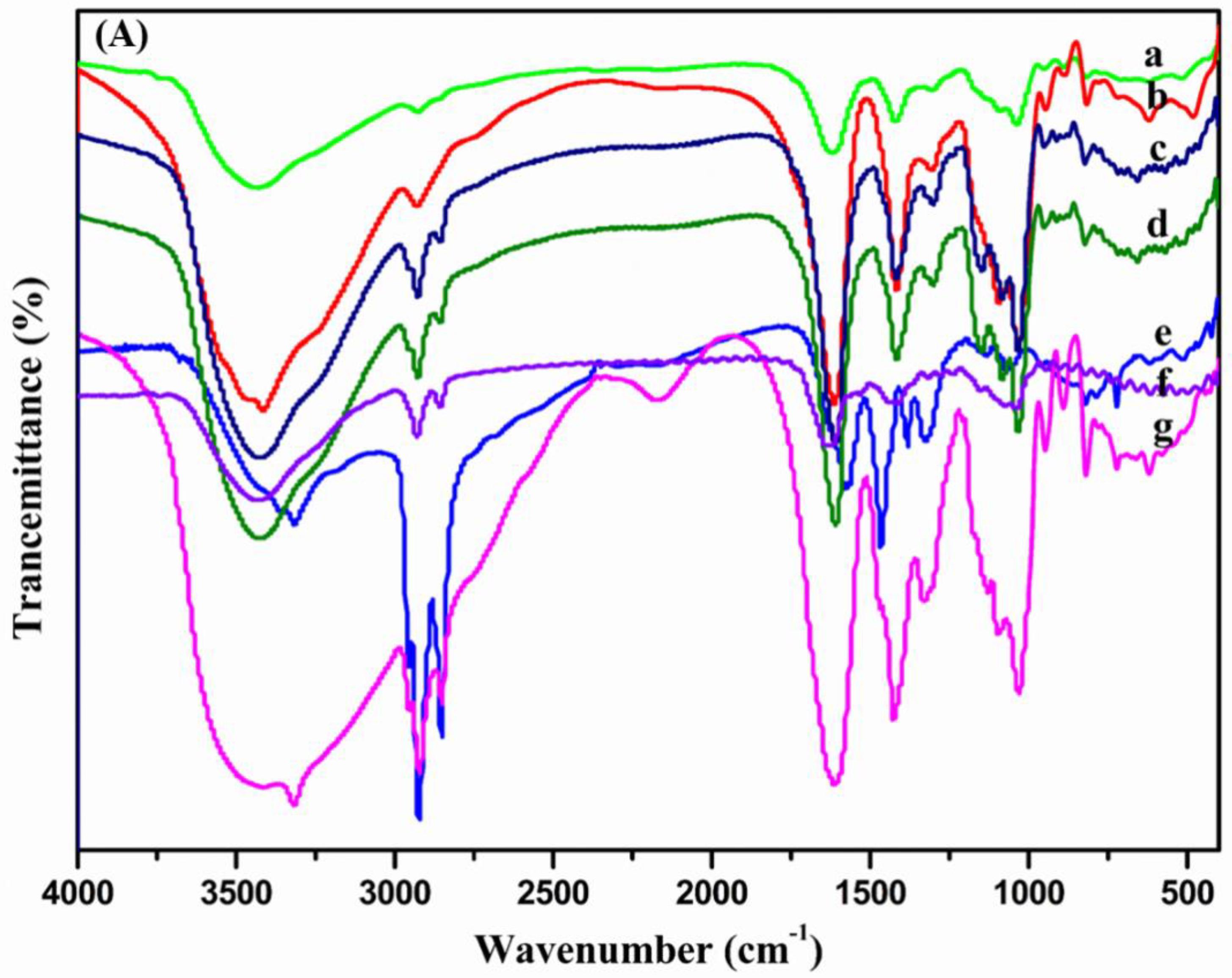 Polymers 14 00694 g002a