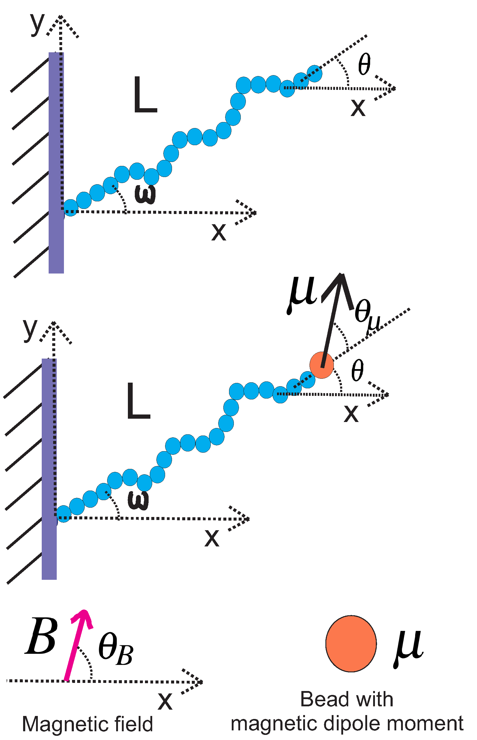 Polymers 14 00695 g001