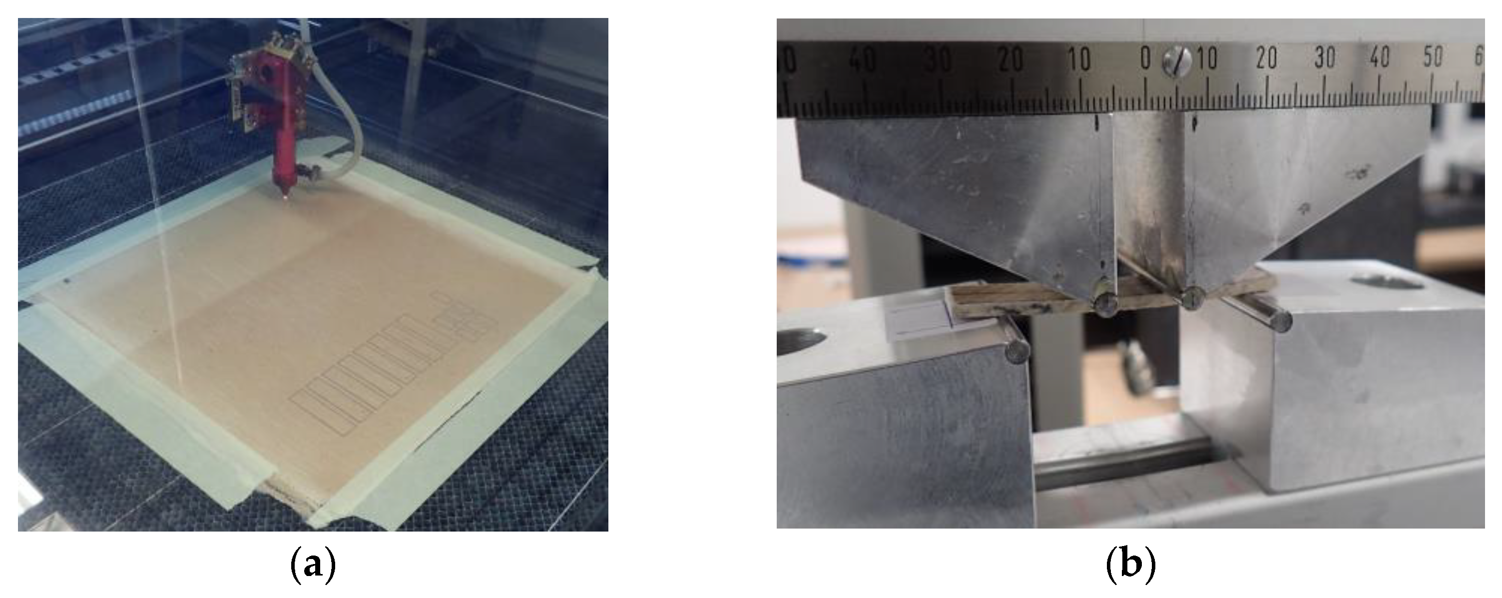 Polymers 14 00698 g012