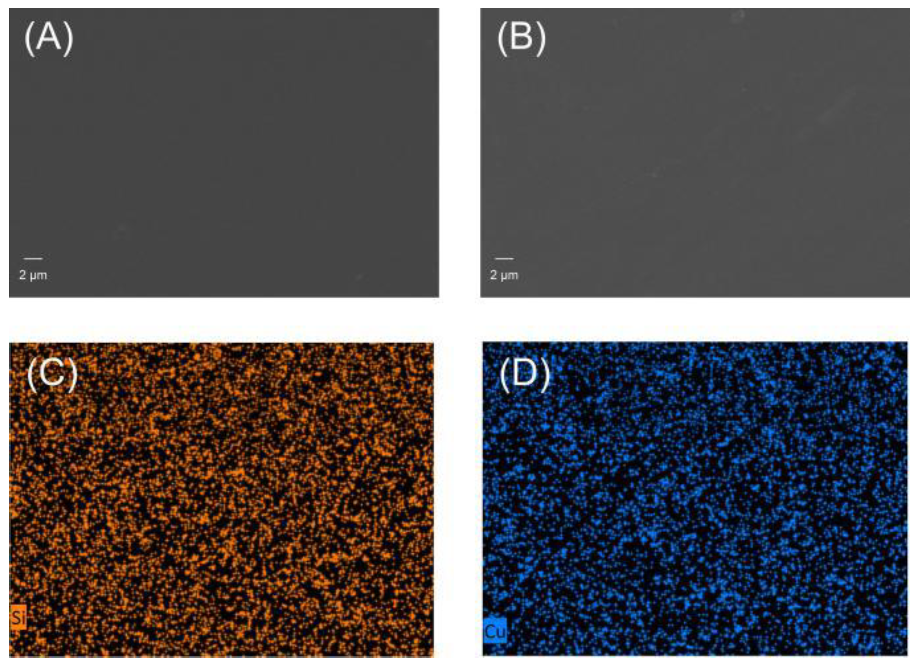 Polymers 14 00699 g004