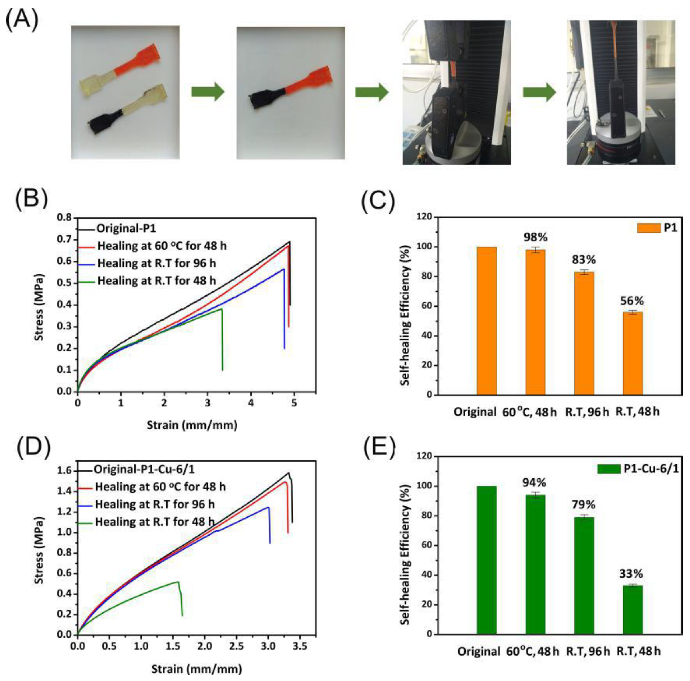 Polymers 14 00699 g005