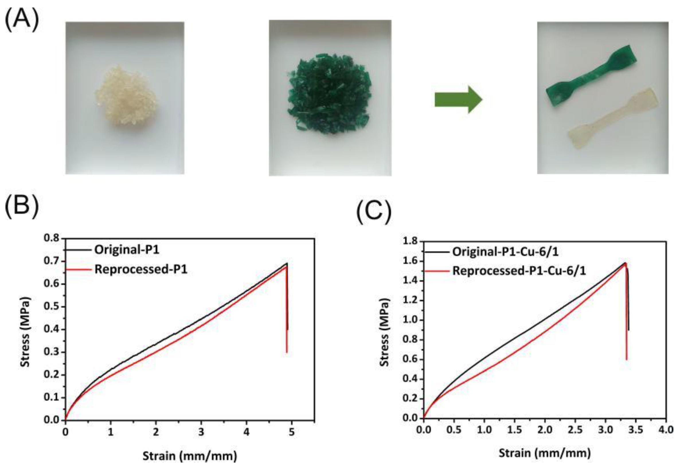 Polymers 14 00699 g006