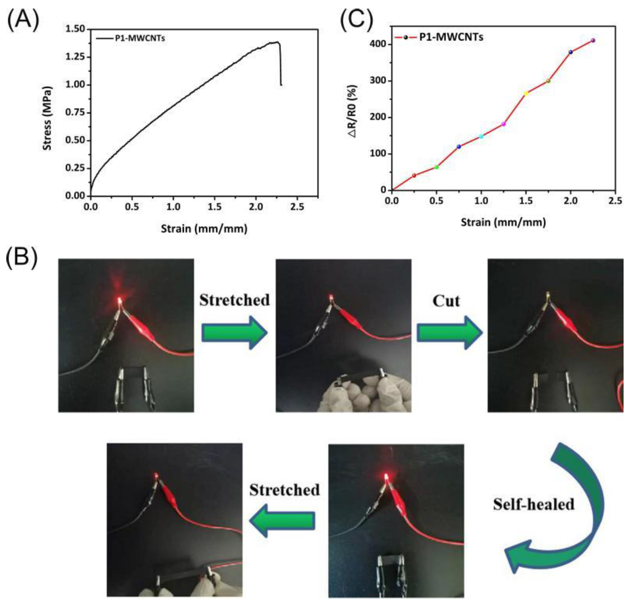 Polymers 14 00699 g008