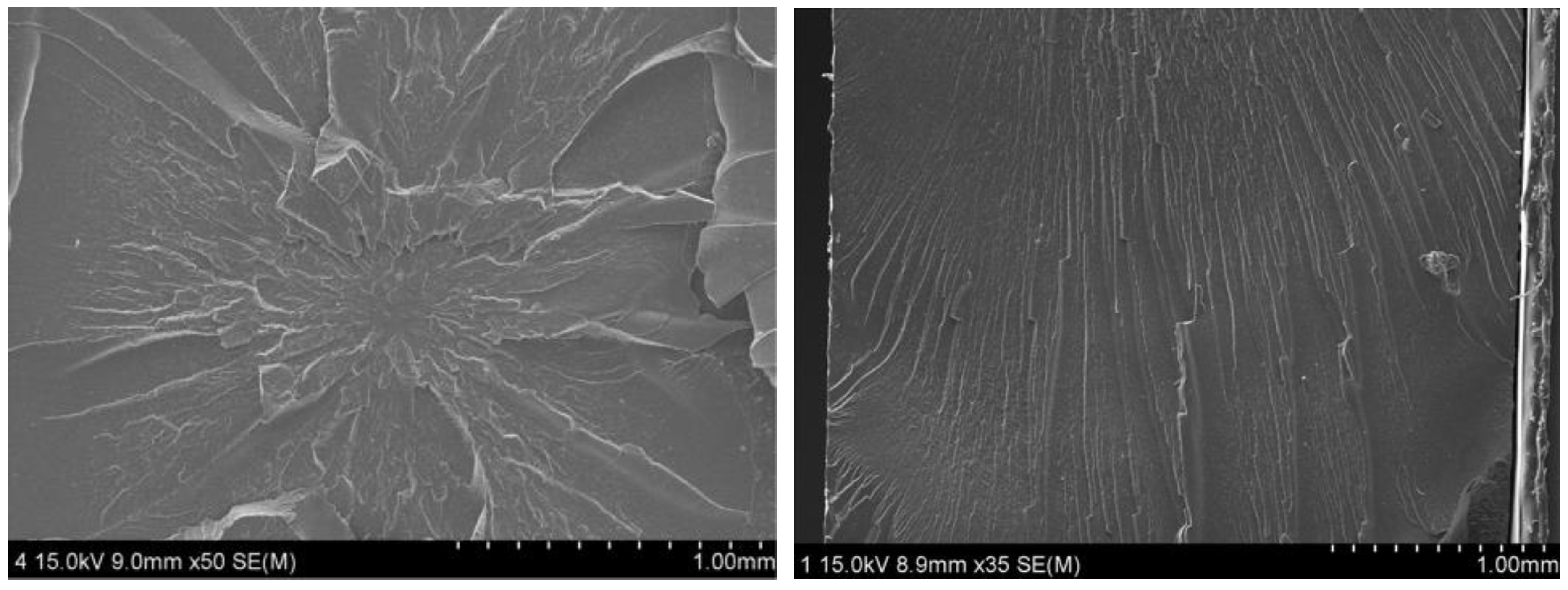 Polymers 14 00700 g008