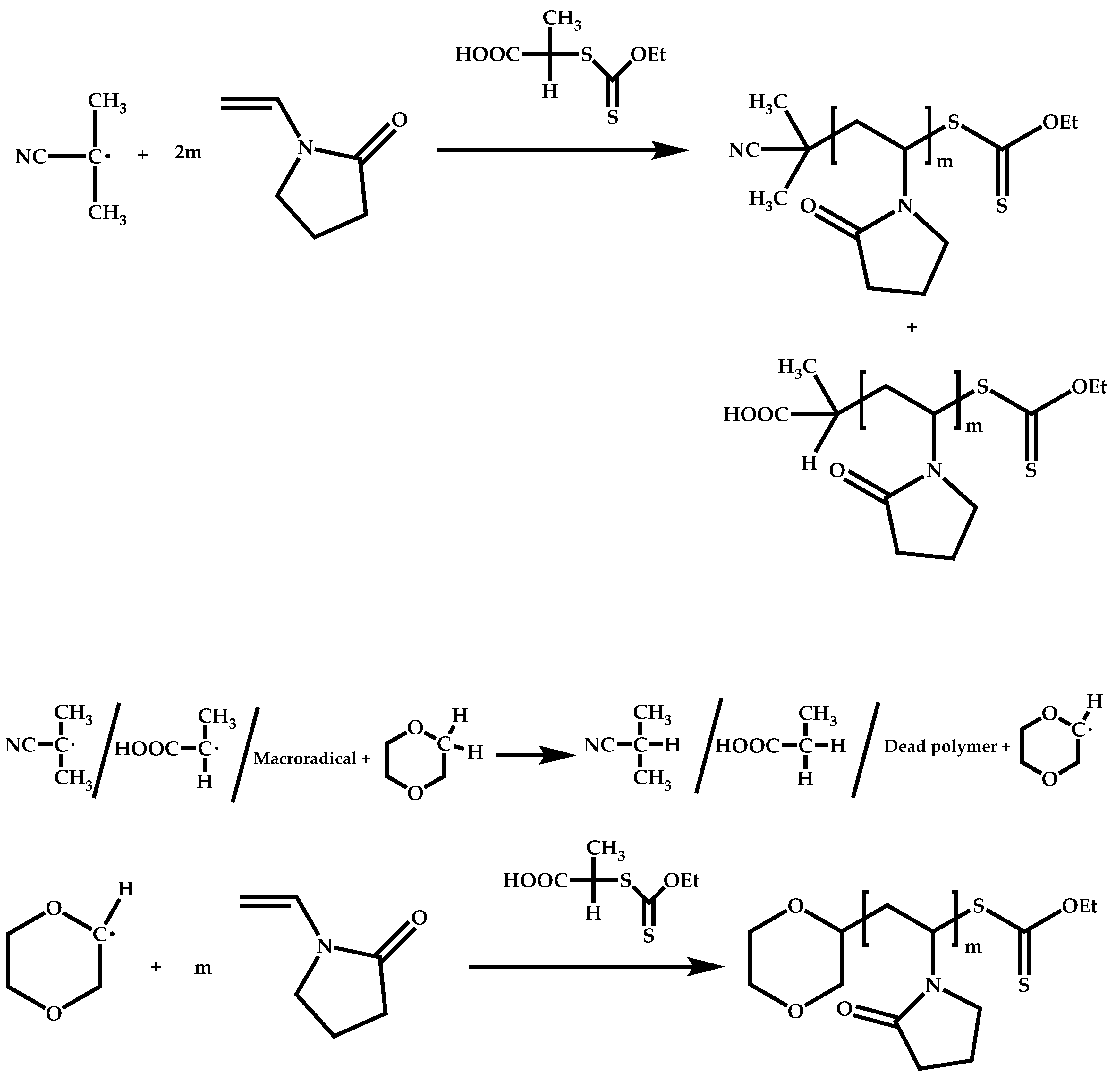 Polymers 14 00701 sch004