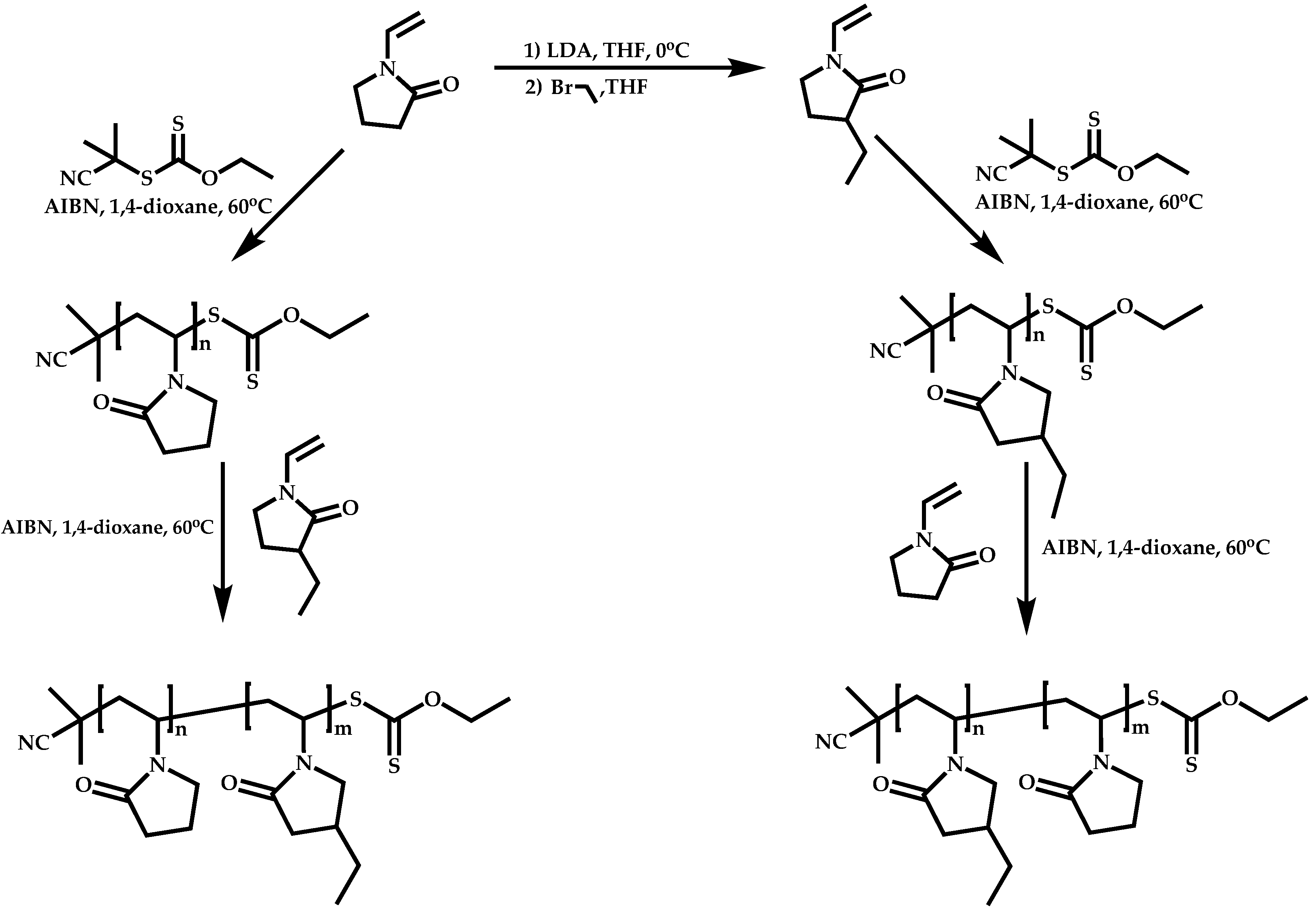 Polymers 14 00701 sch014