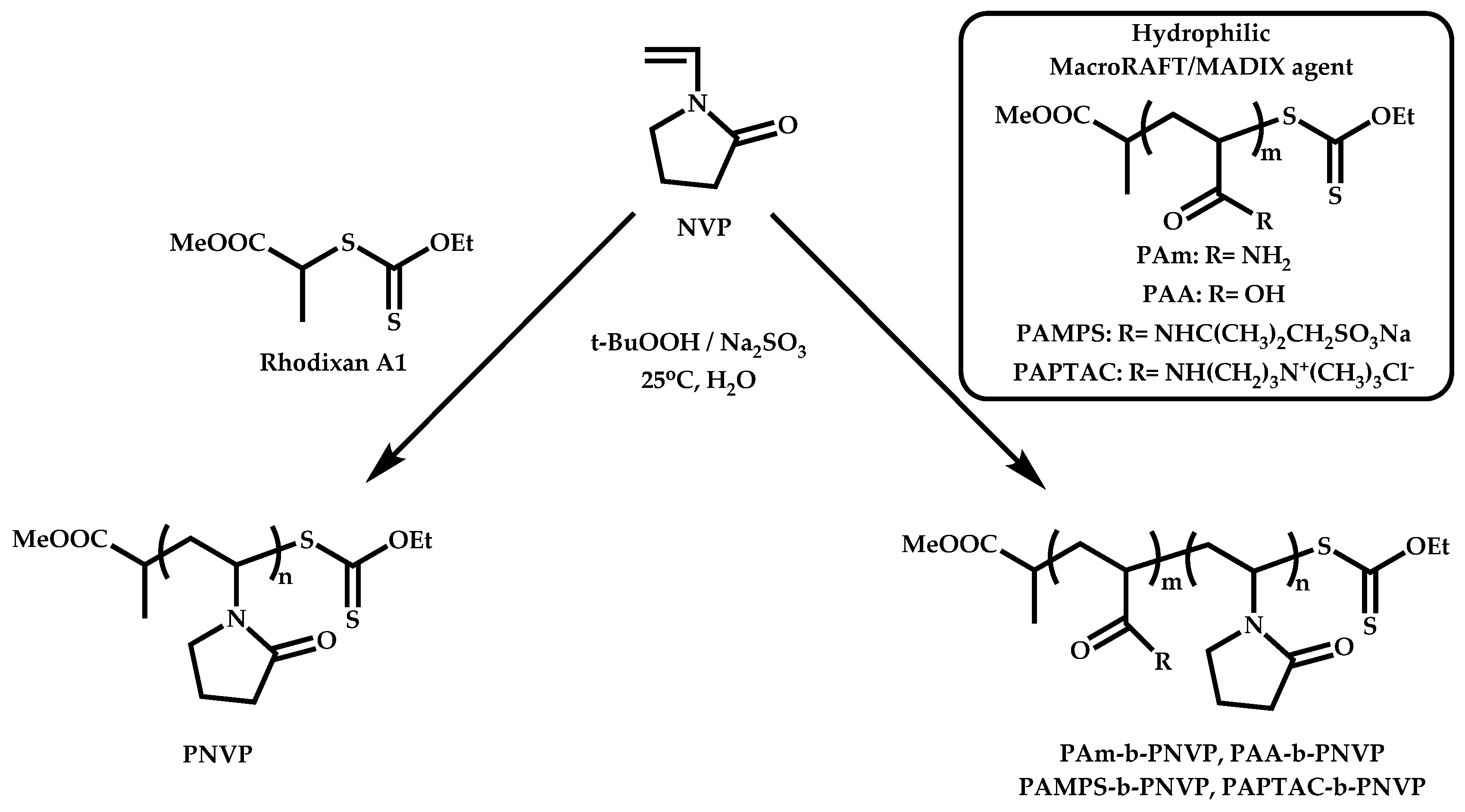 Polymers 14 00701 sch031