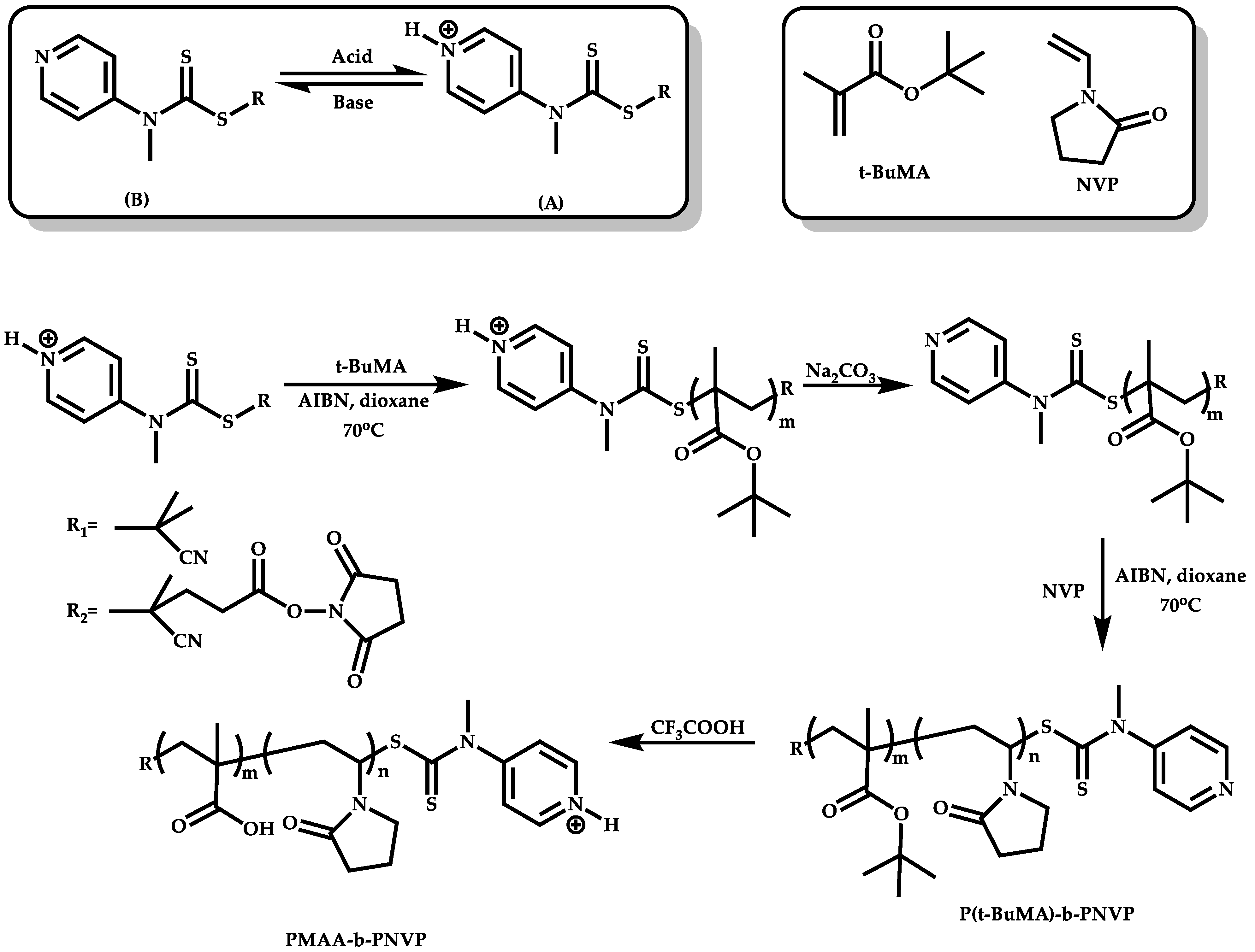 Polymers 14 00701 sch039