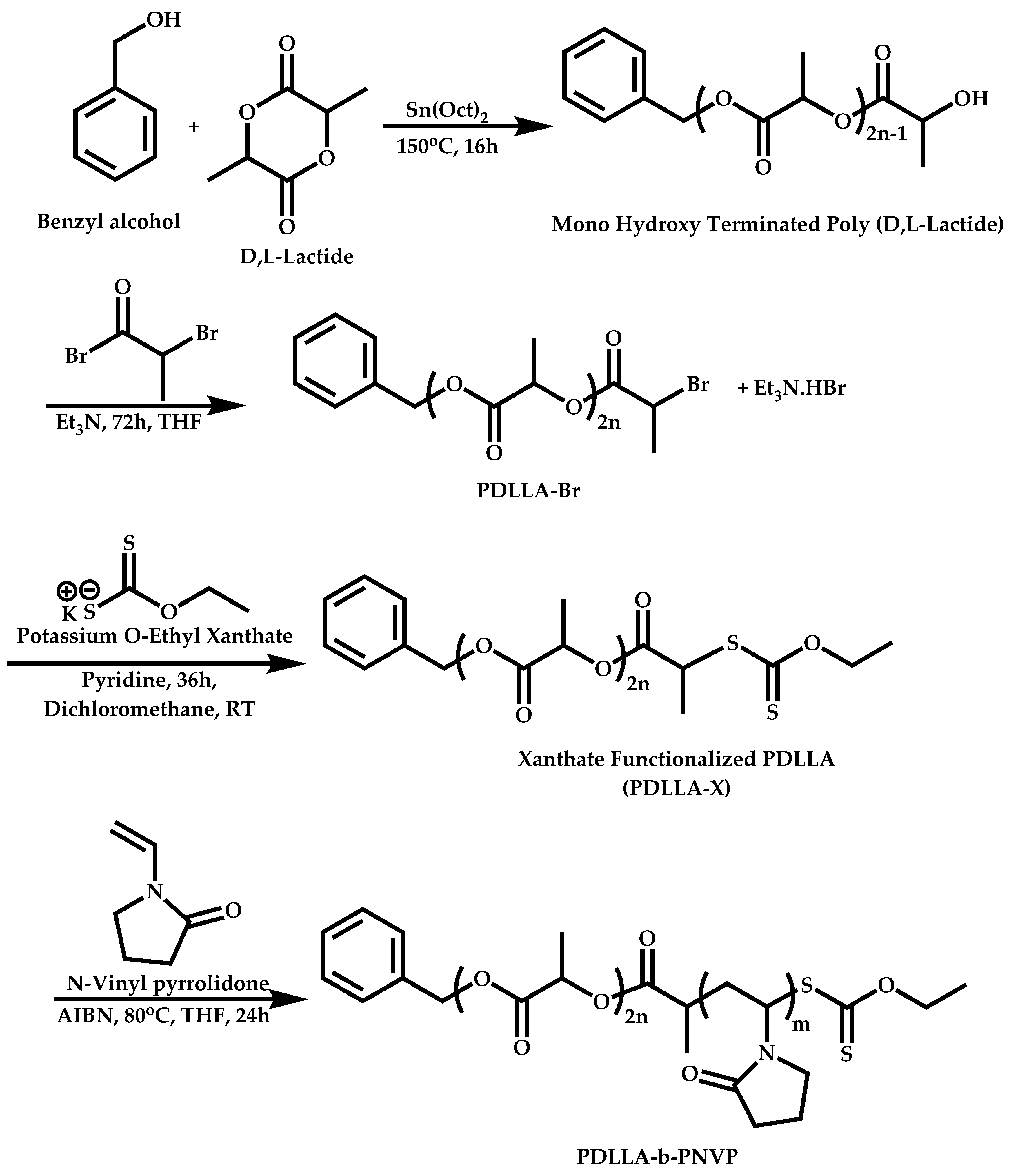 Polymers 14 00701 sch052