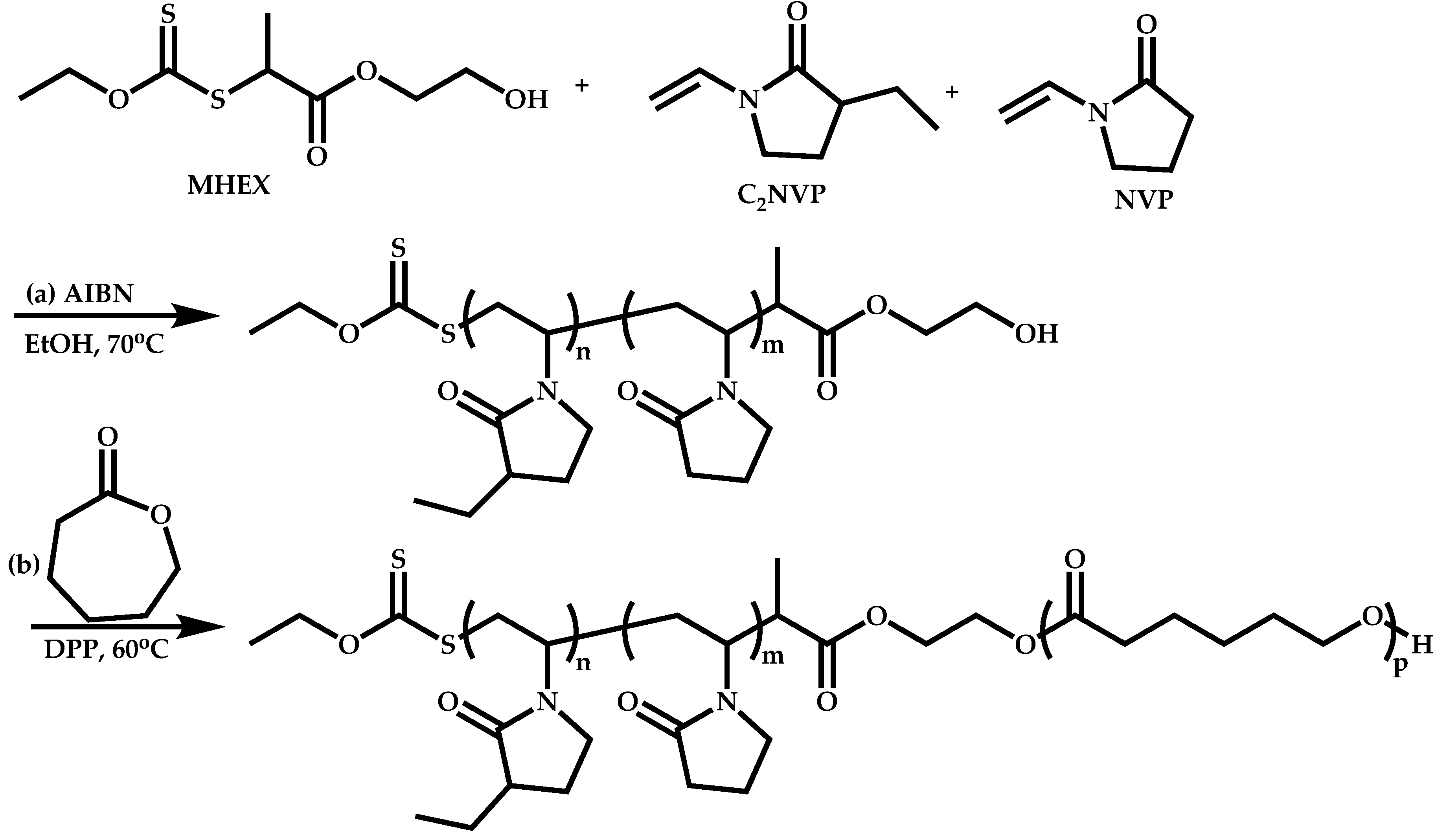 Polymers 14 00701 sch053