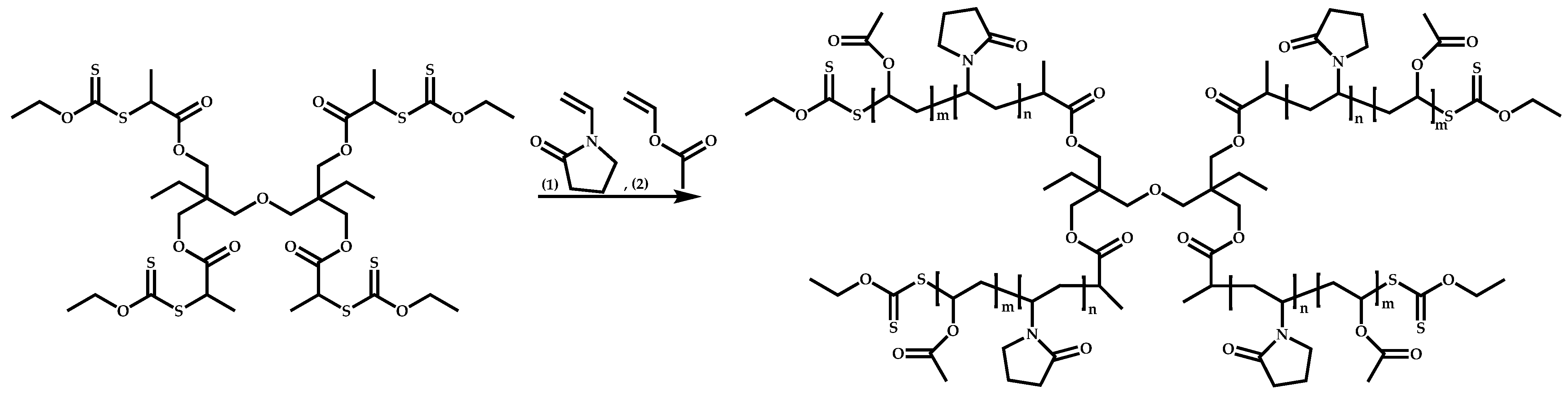 Polymers 14 00701 sch076