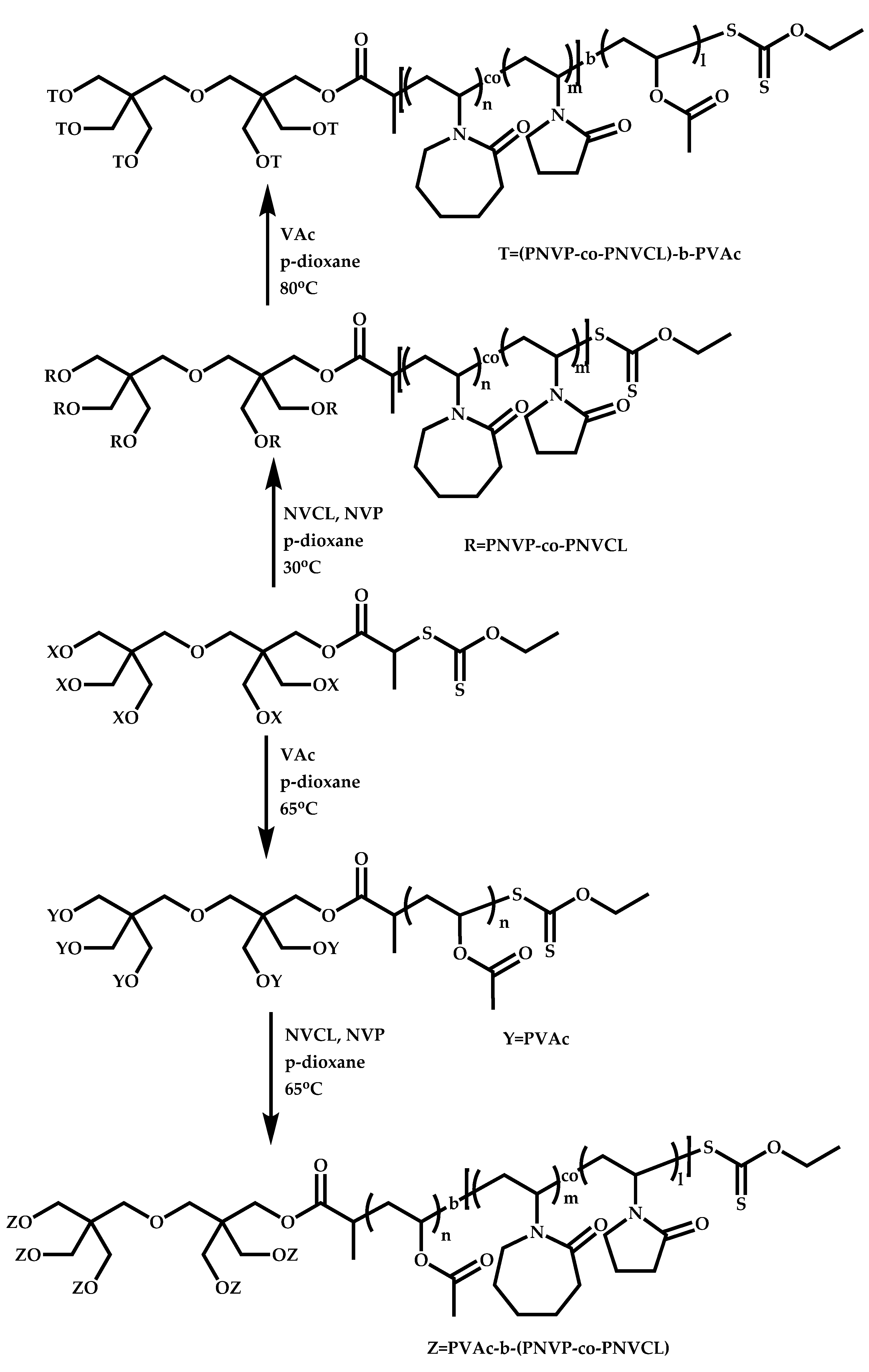 Polymers 14 00701 sch079