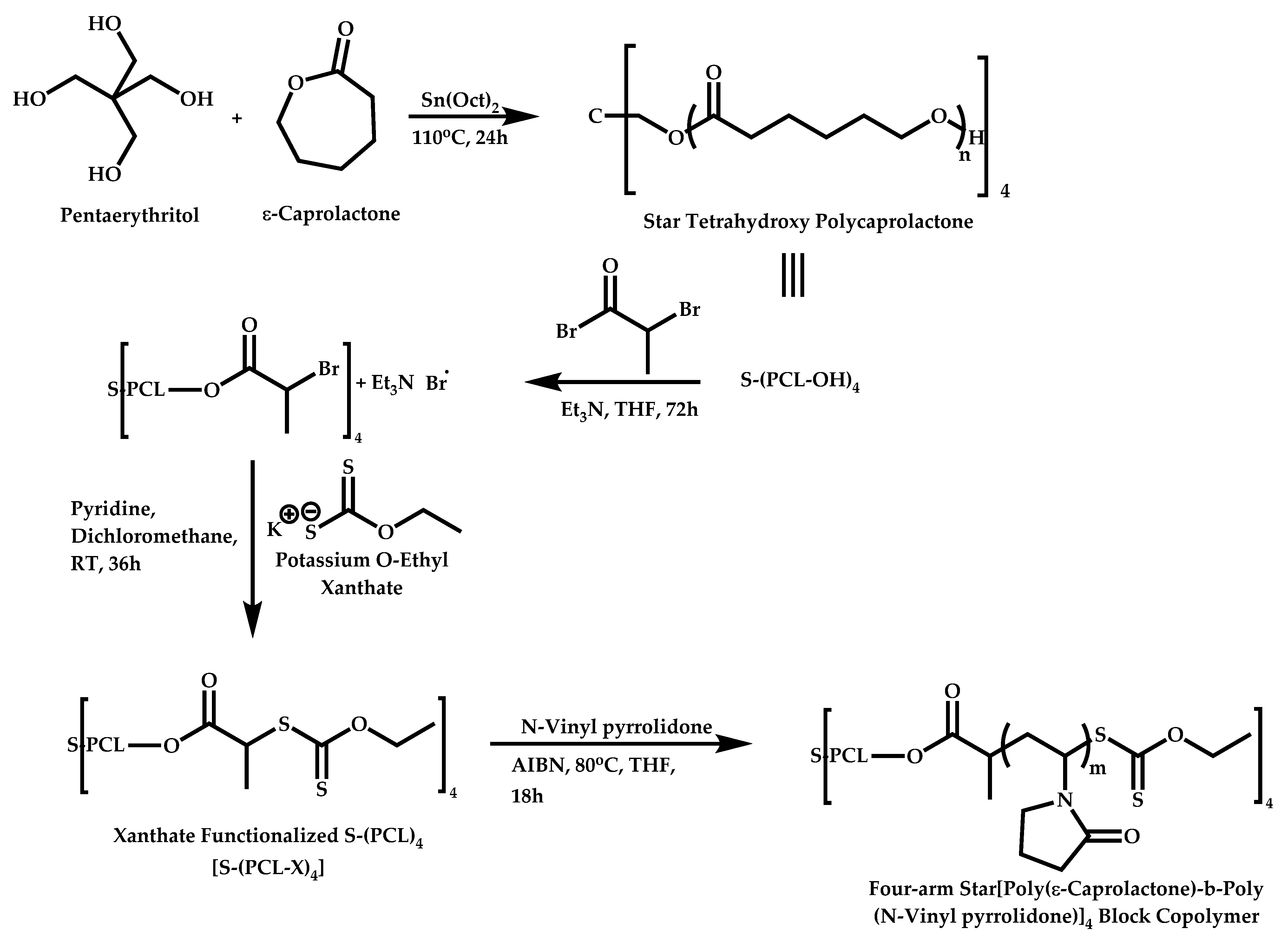 Polymers 14 00701 sch080