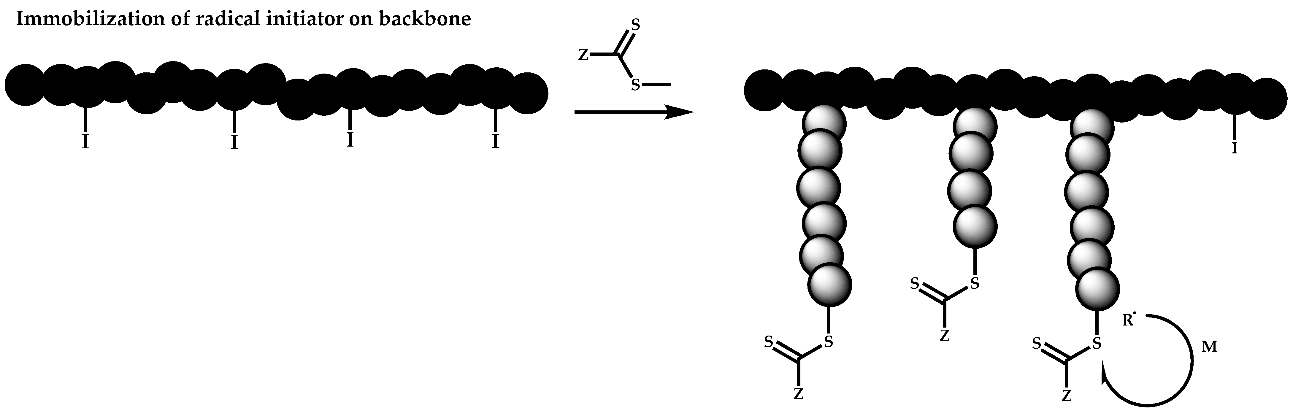 Polymers 14 00701 sch088