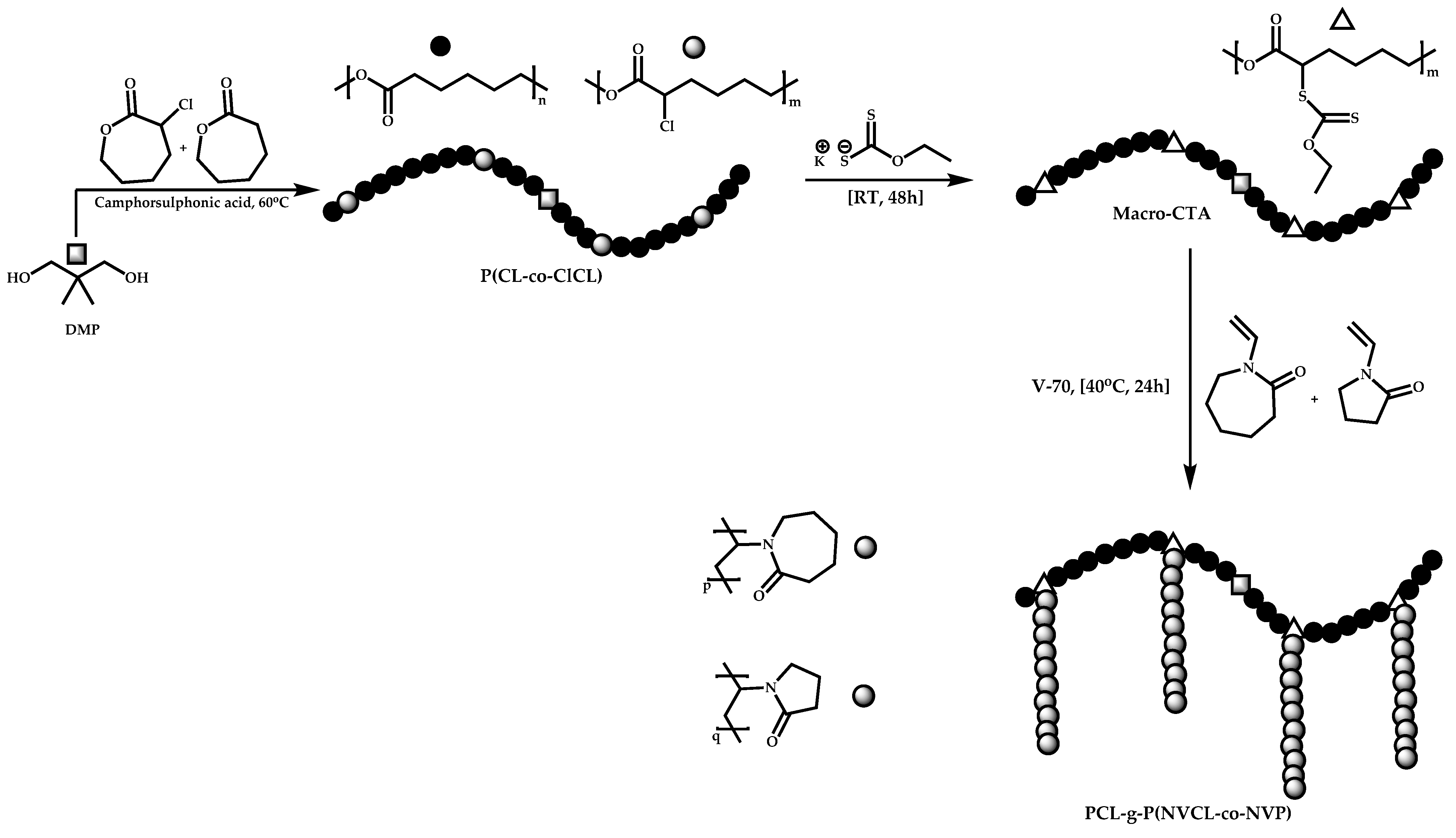 Polymers 14 00701 sch090