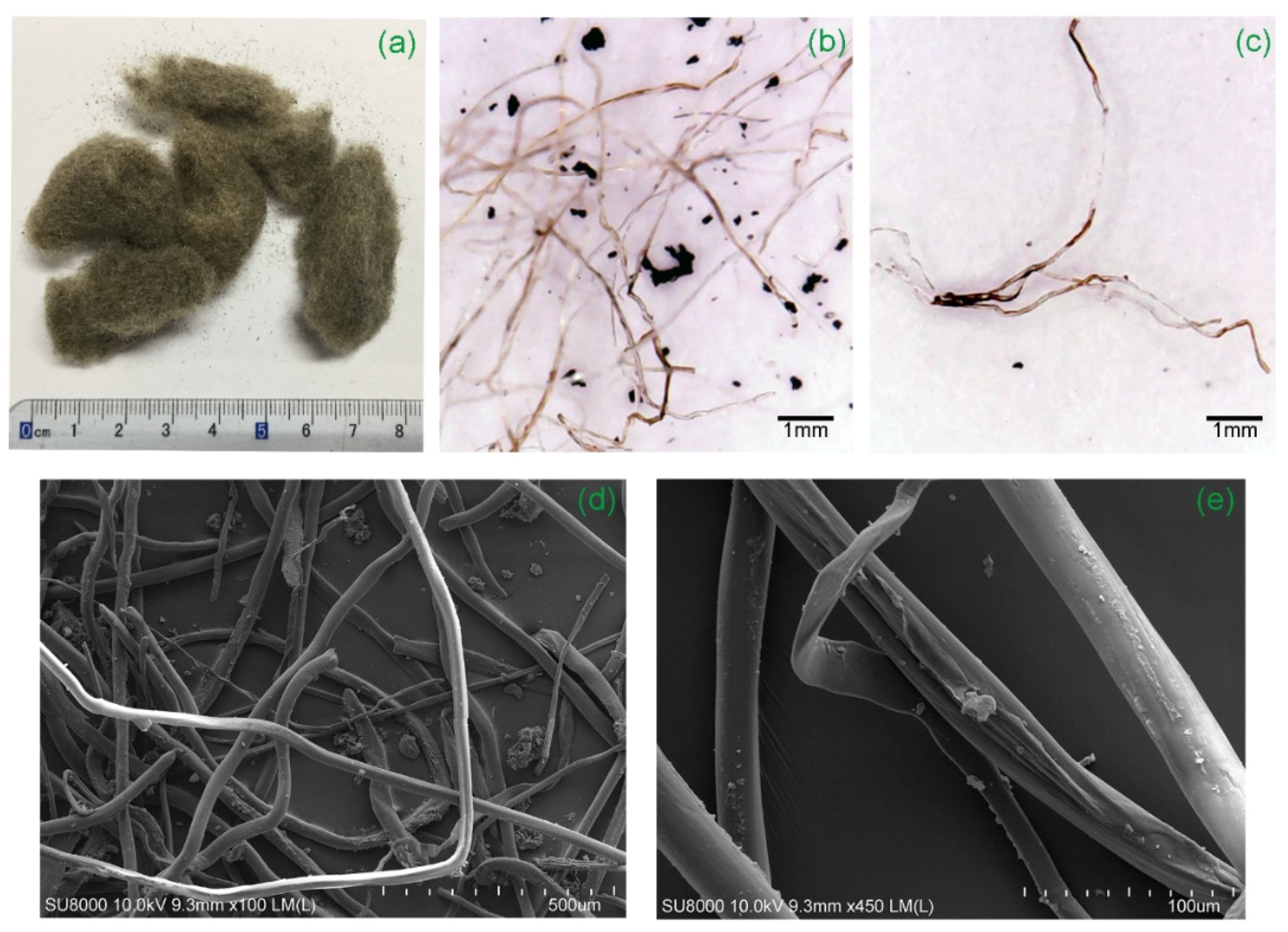 Polymers 14 00708 g005