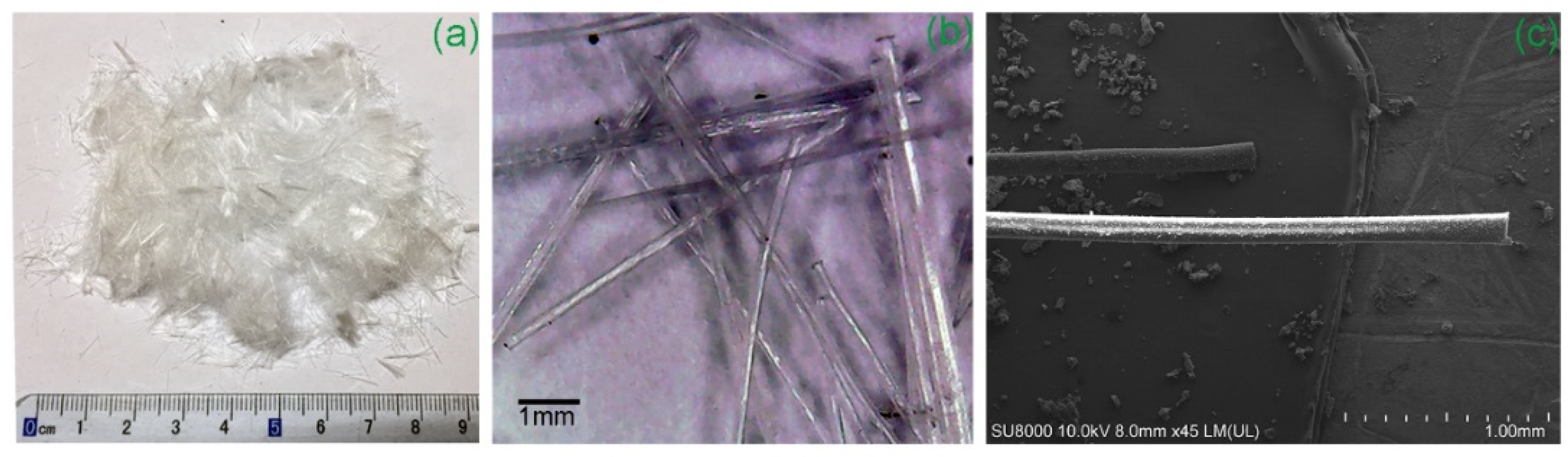 Polymers 14 00708 g006