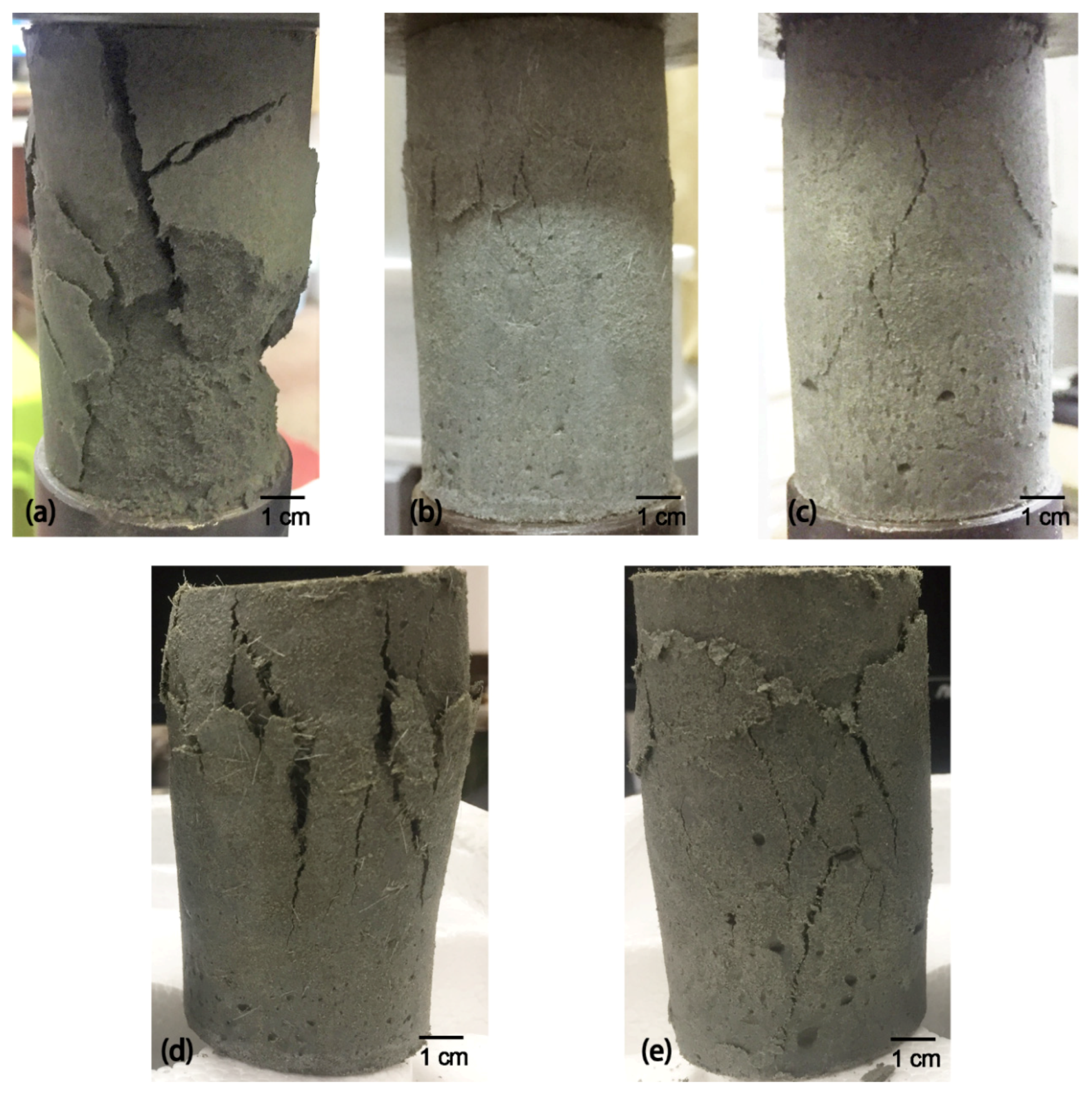 Polymers 14 00708 g016