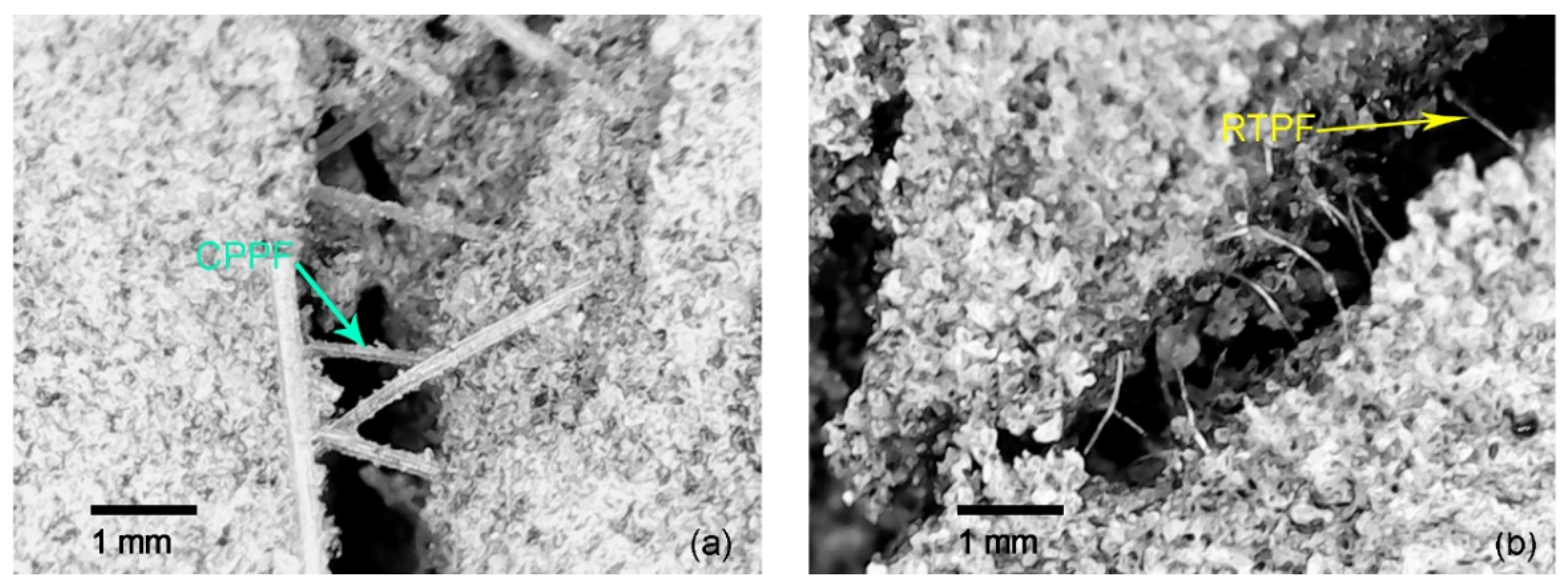 Polymers 14 00708 g017