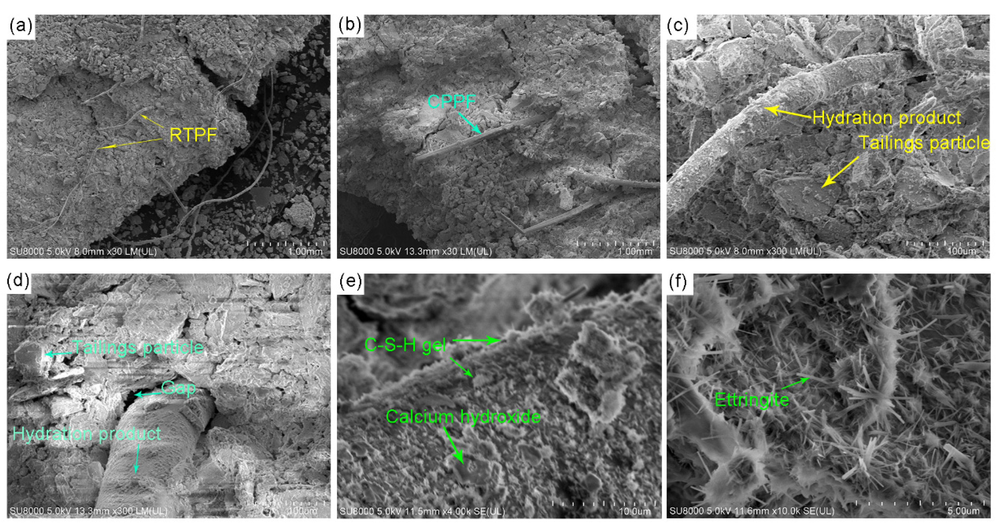 Polymers 14 00708 g018