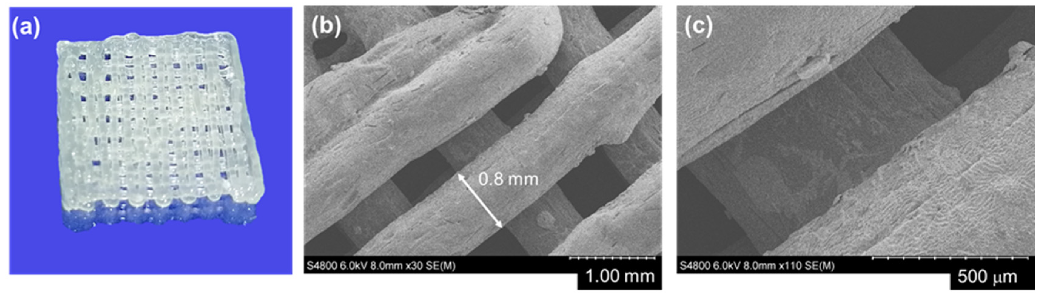 Polymers 14 00711 g004