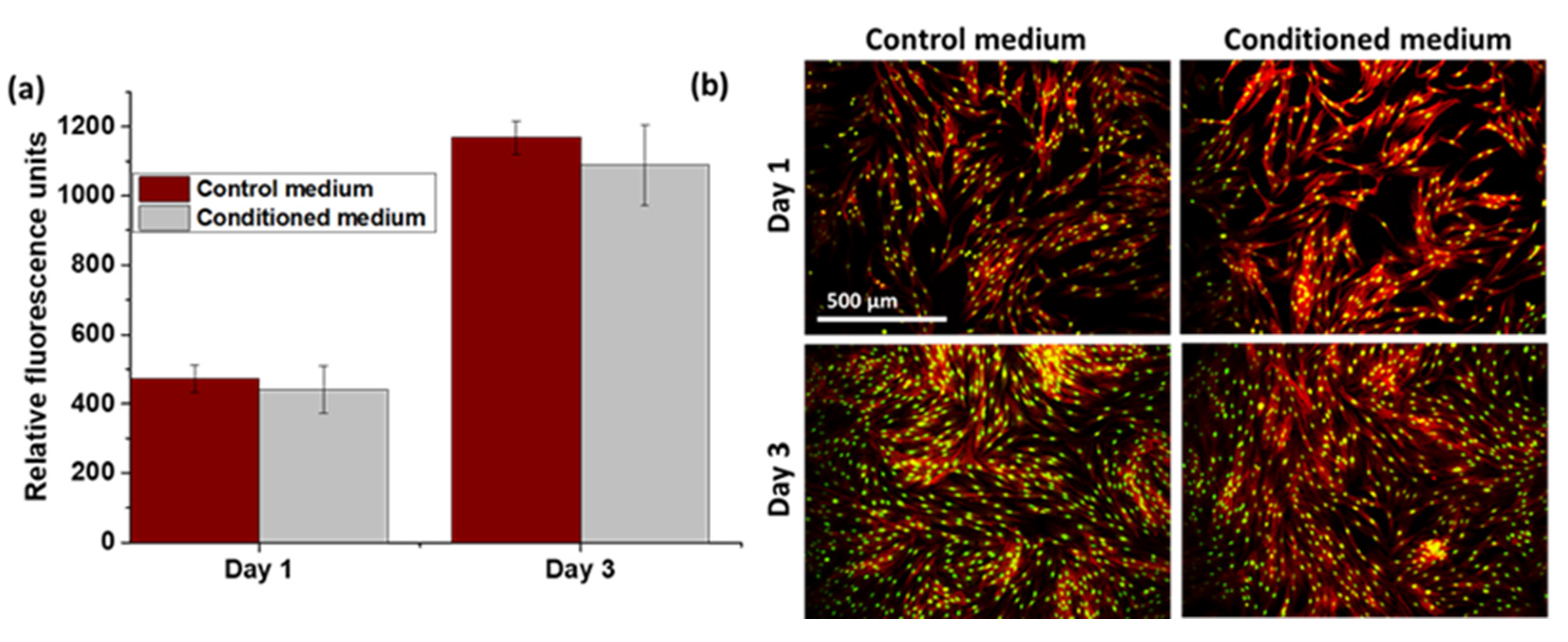 Polymers 14 00711 g005