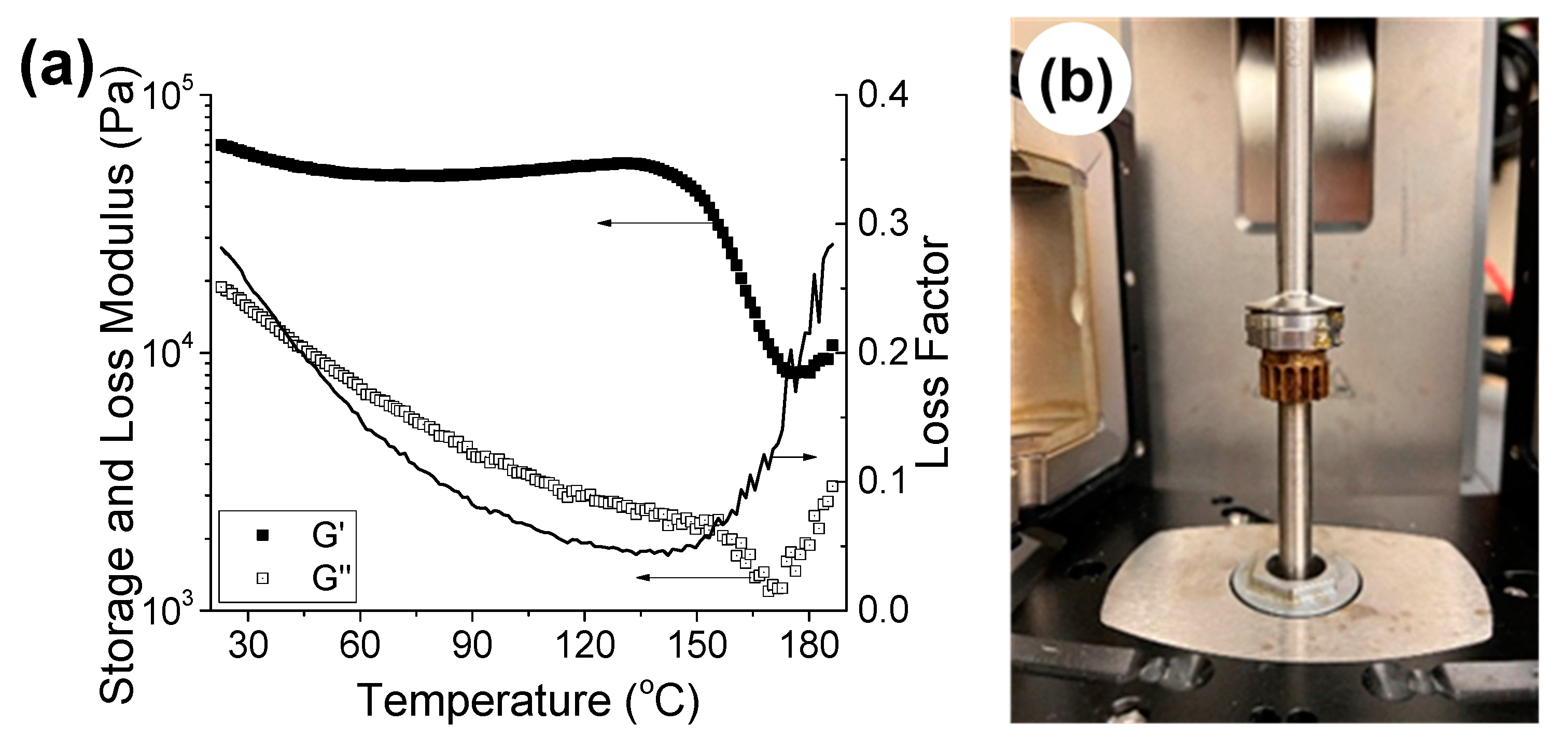 Polymers 14 00713 g003