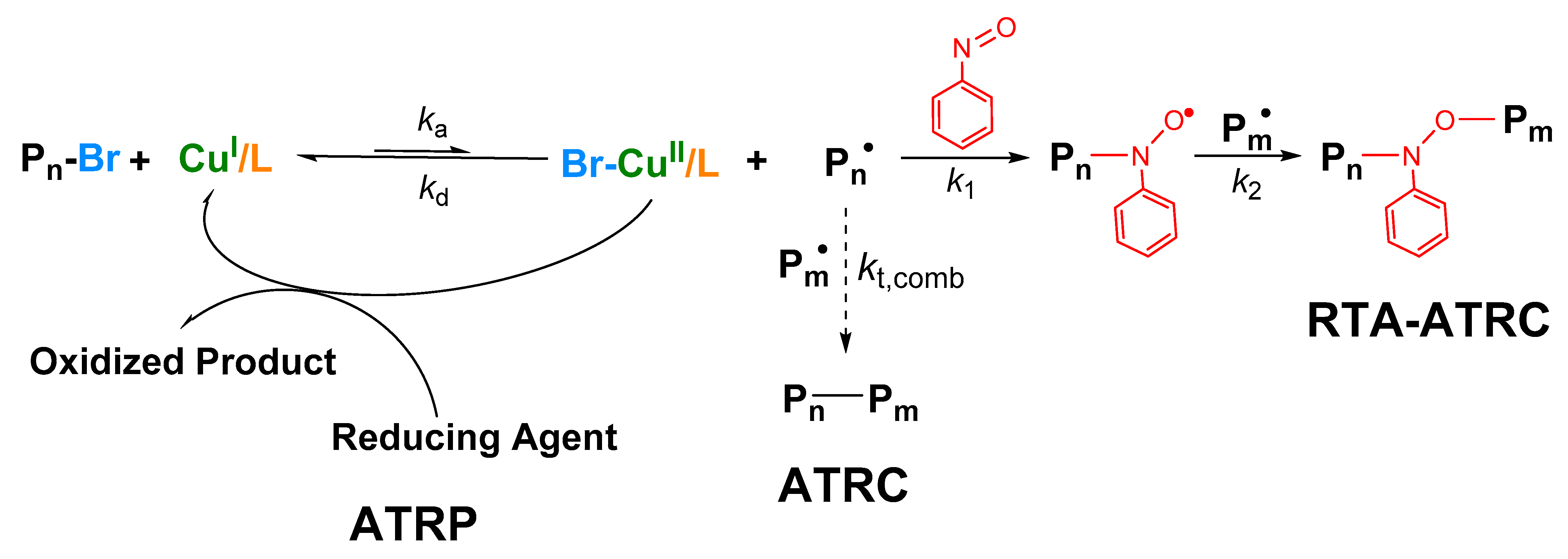 Polymers 14 00713 sch001