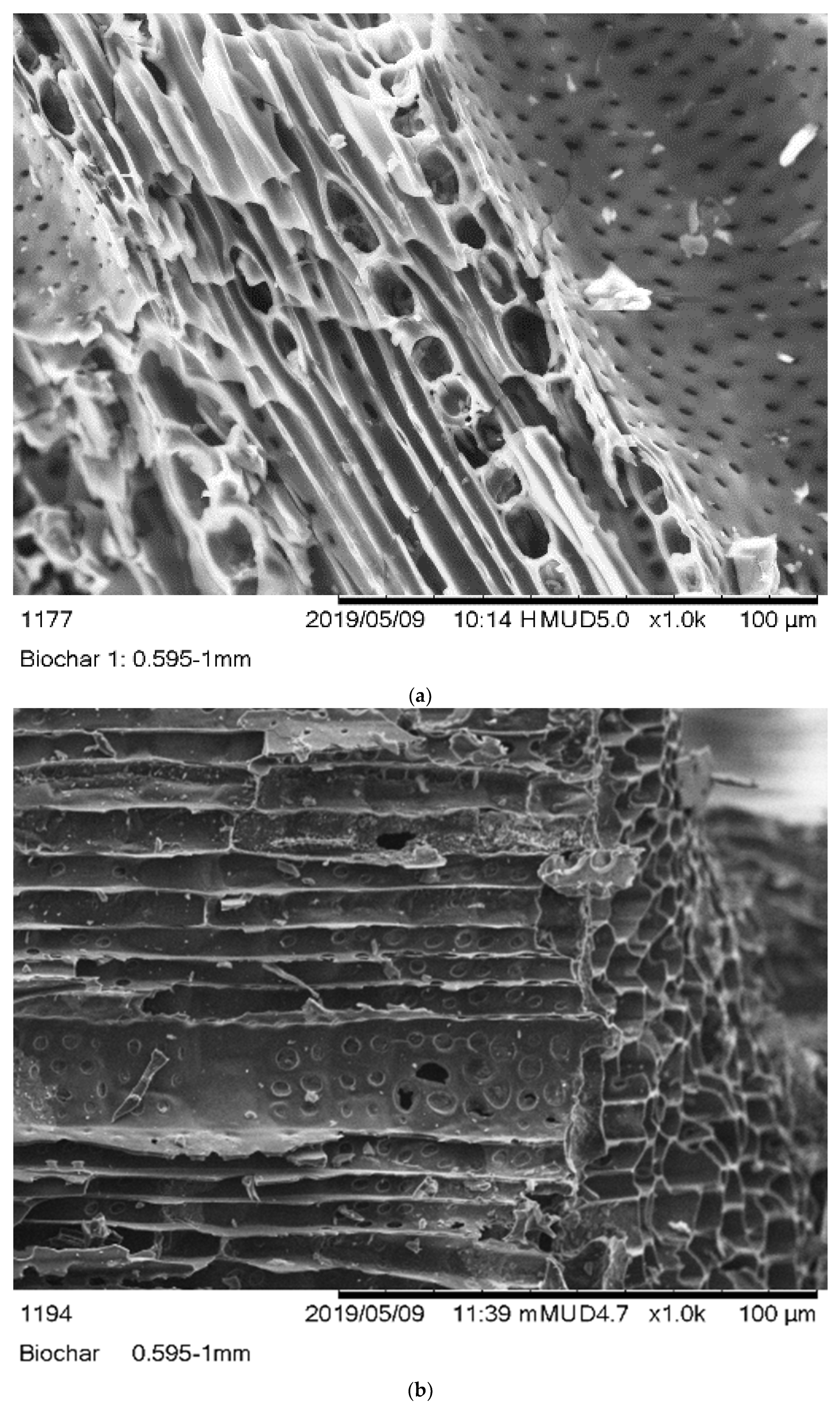 Polymers 14 00715 g001a