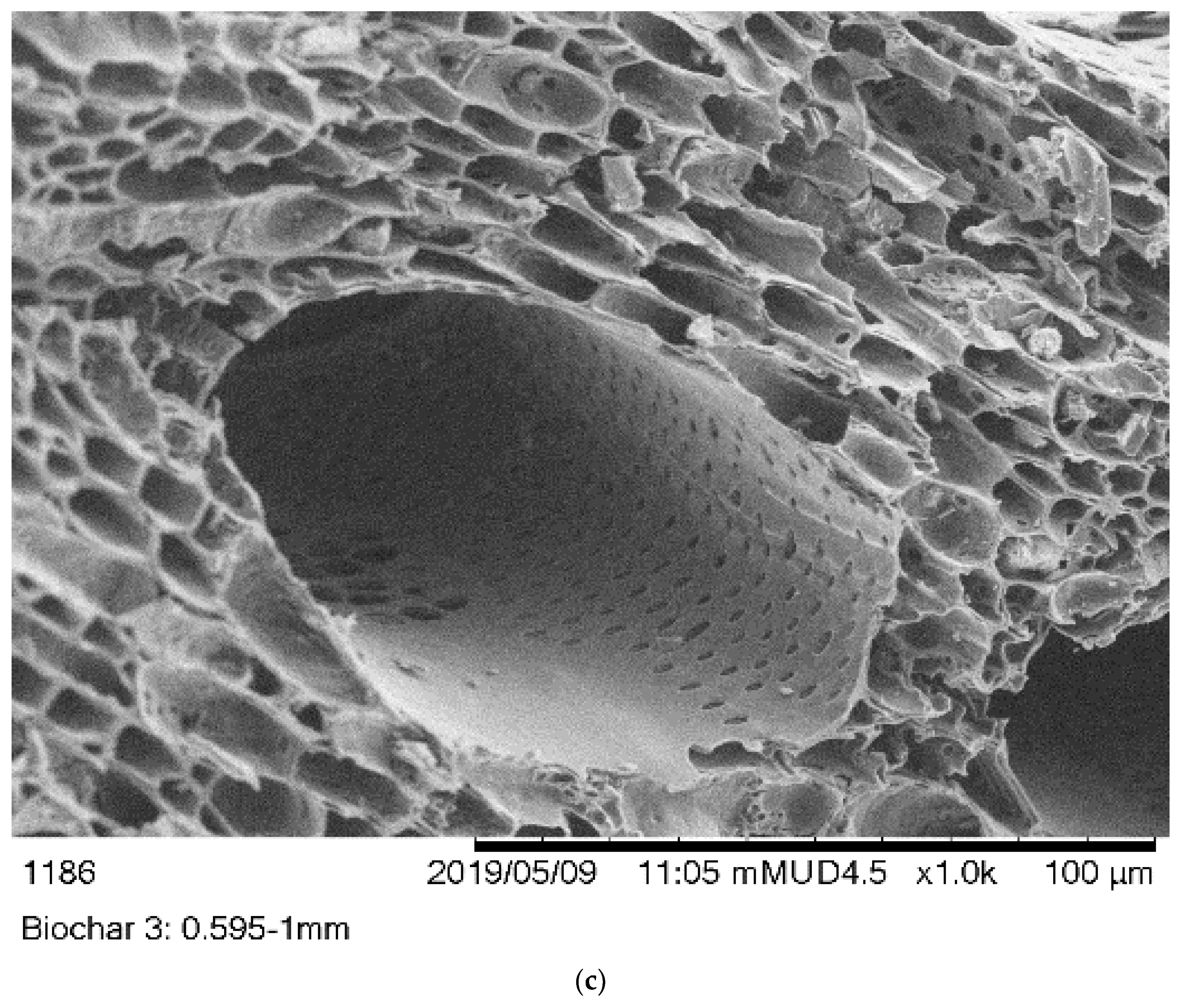 Polymers 14 00715 g001b