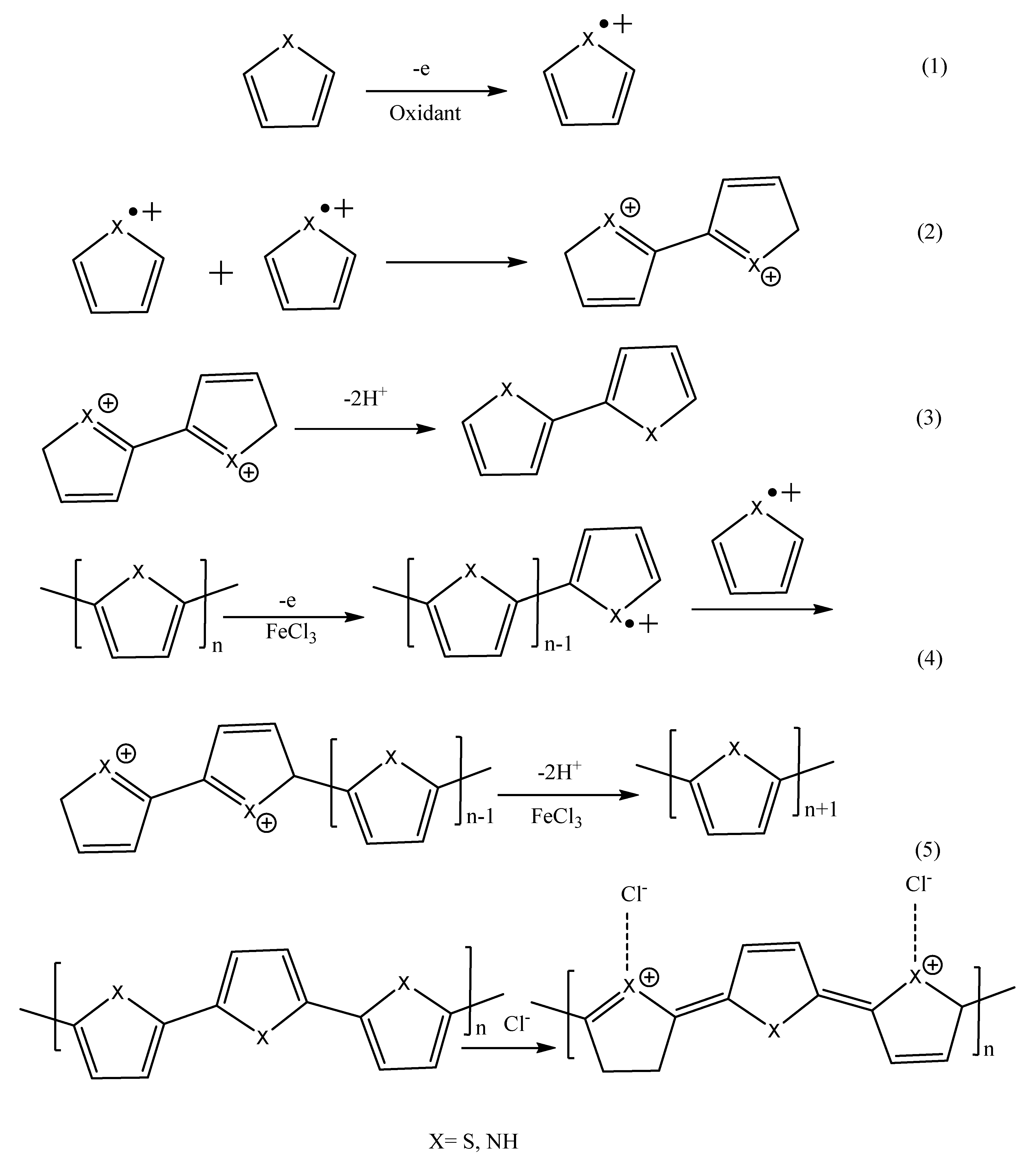 Polymers 14 00716 sch006 Polymers 14 00716 sch006