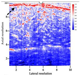 Polymers 14 00722 i010