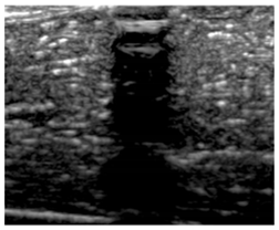 Polymers 14 00722 i012