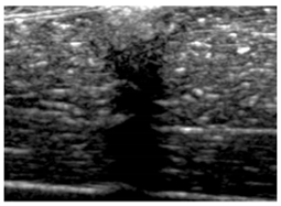 Polymers 14 00722 i027