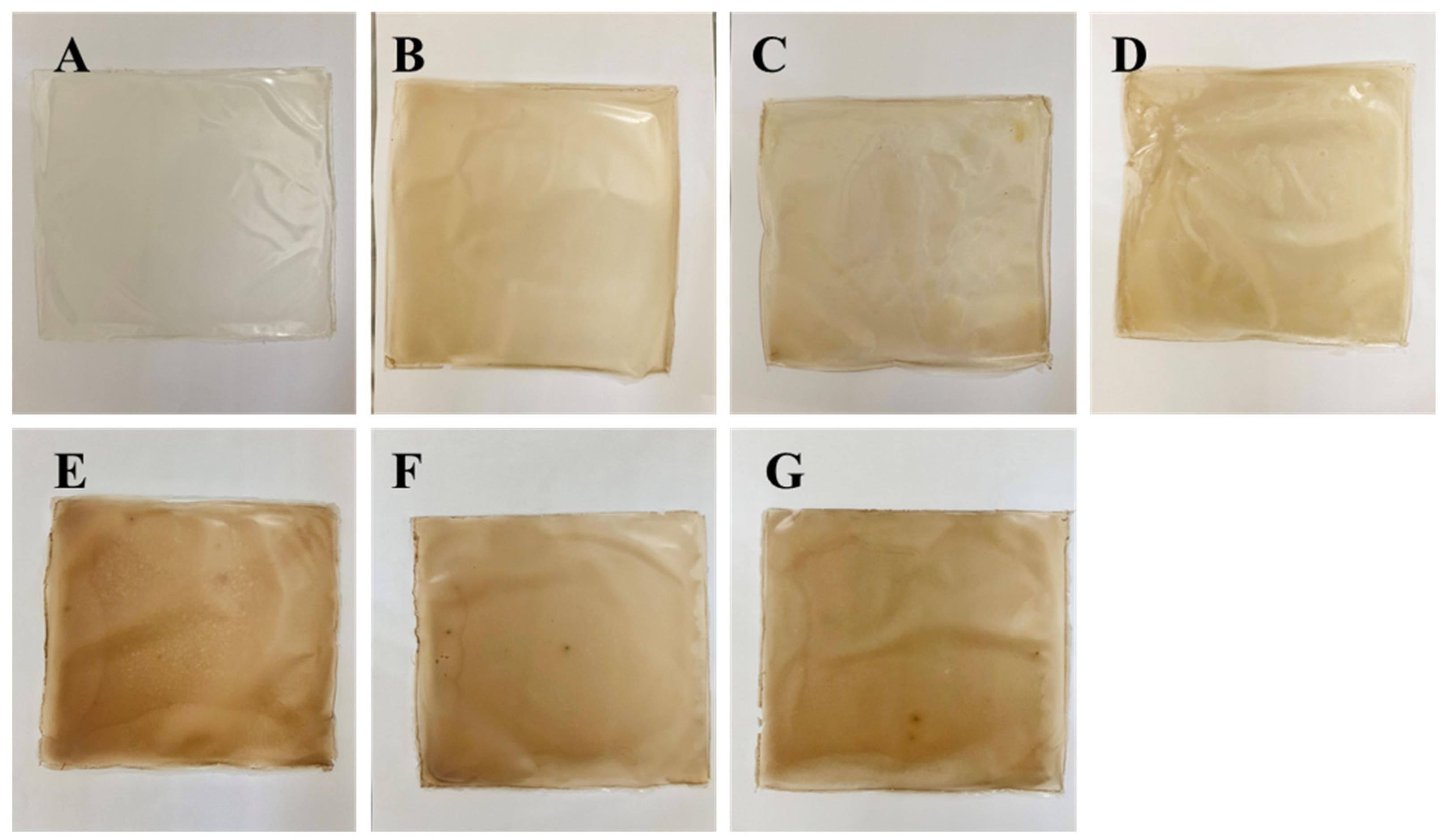 Polymers 14 00731 g001