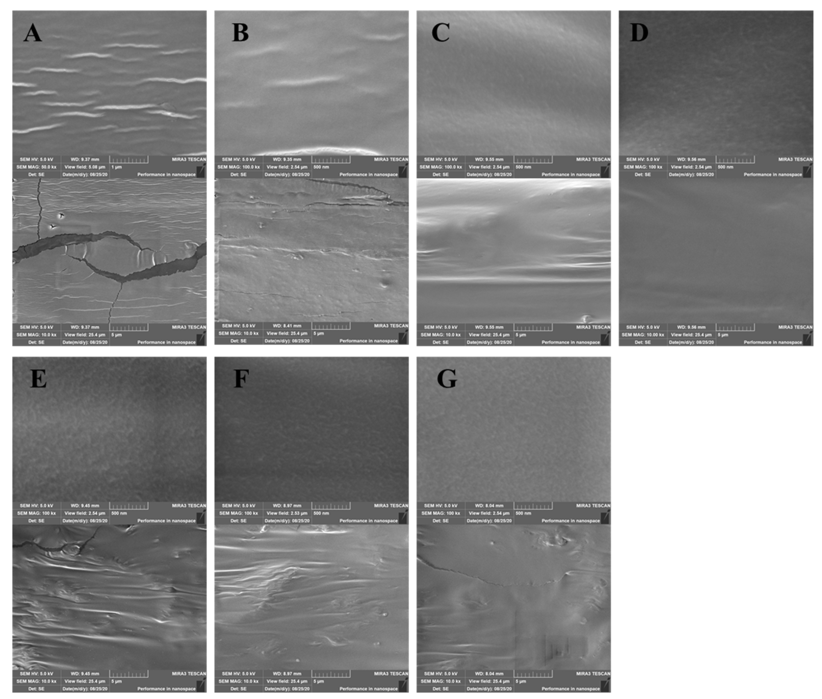 Polymers 14 00731 g002