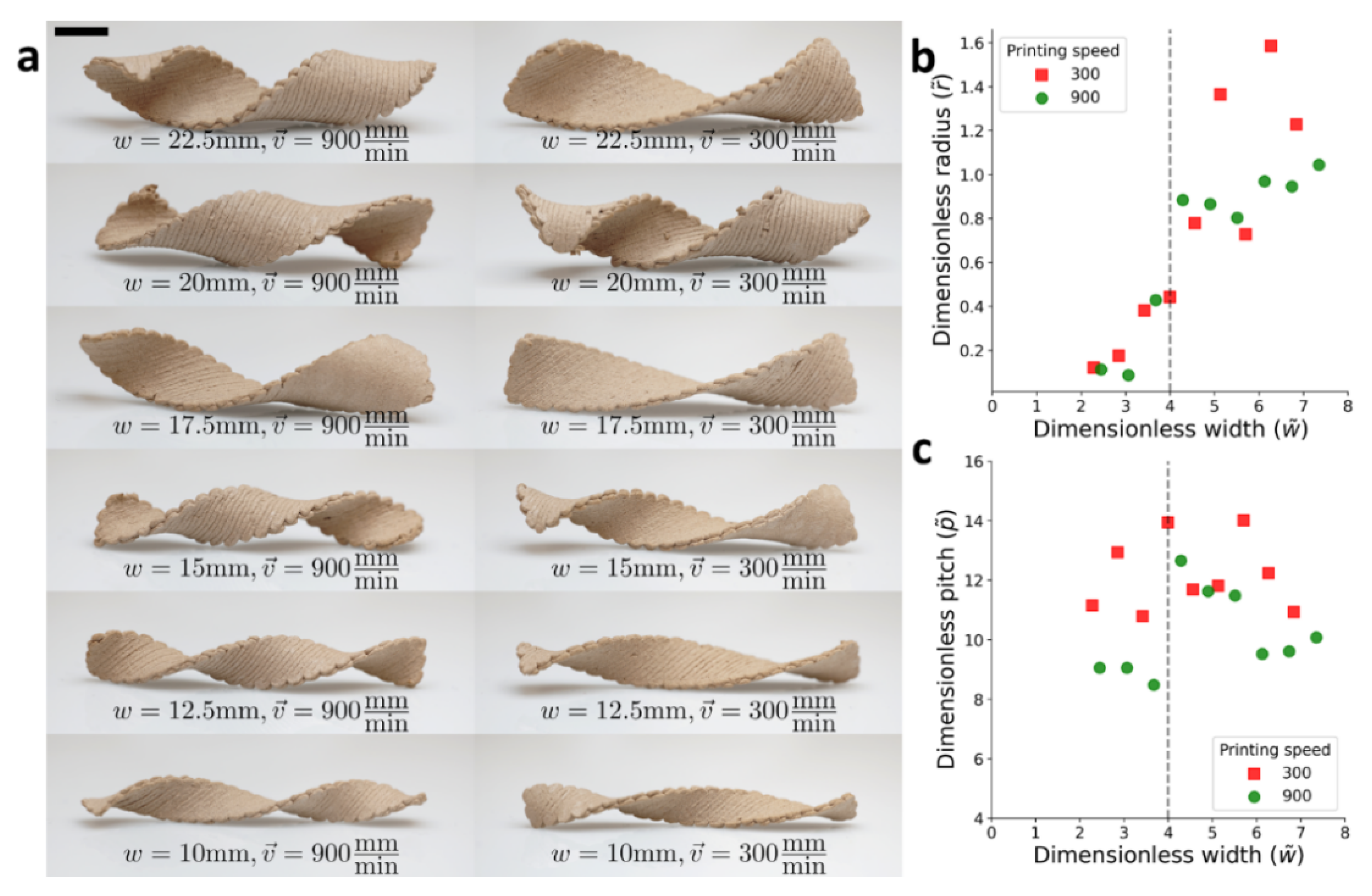 Polymers 14 00733 g005