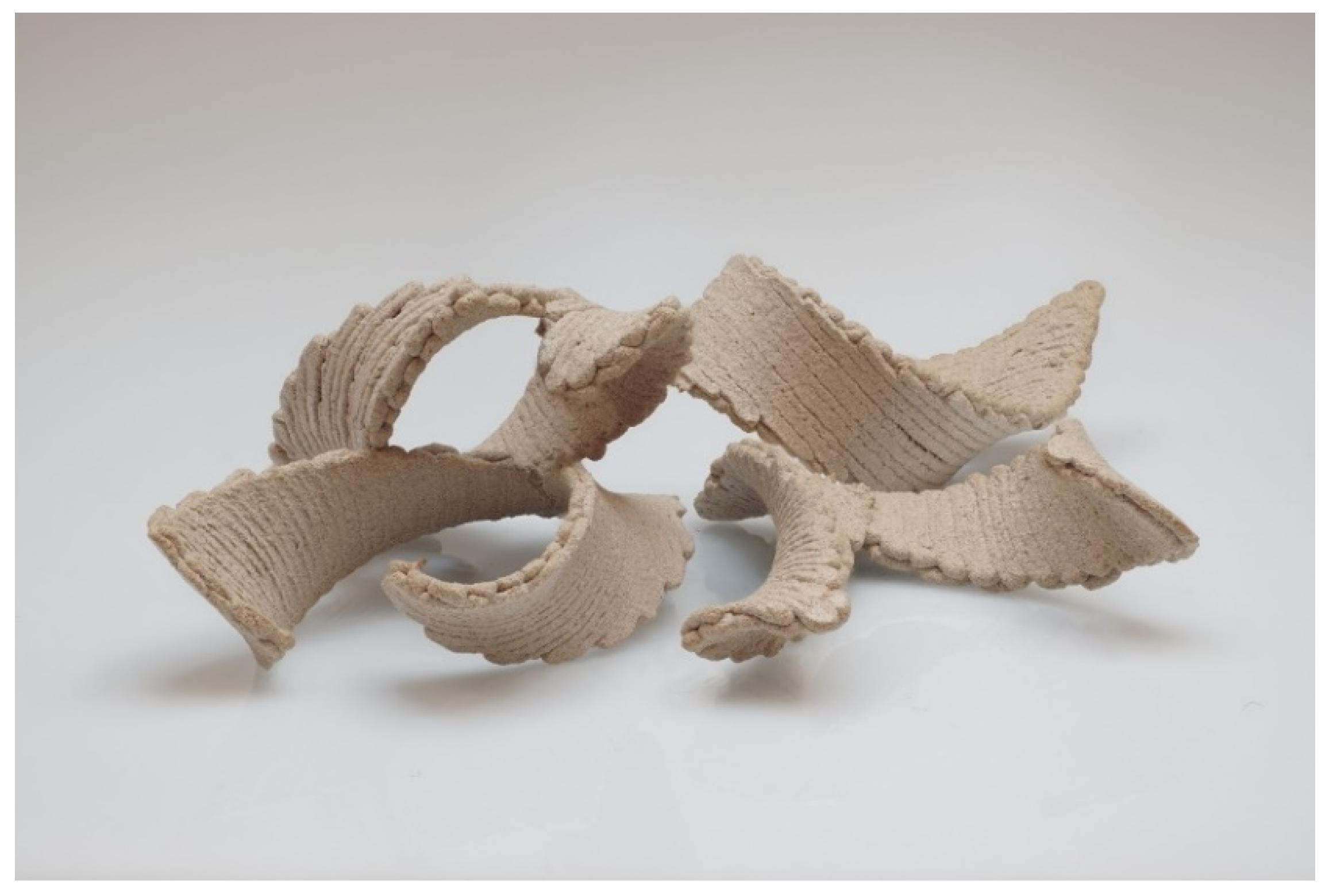 Polymers 14 00733 g006