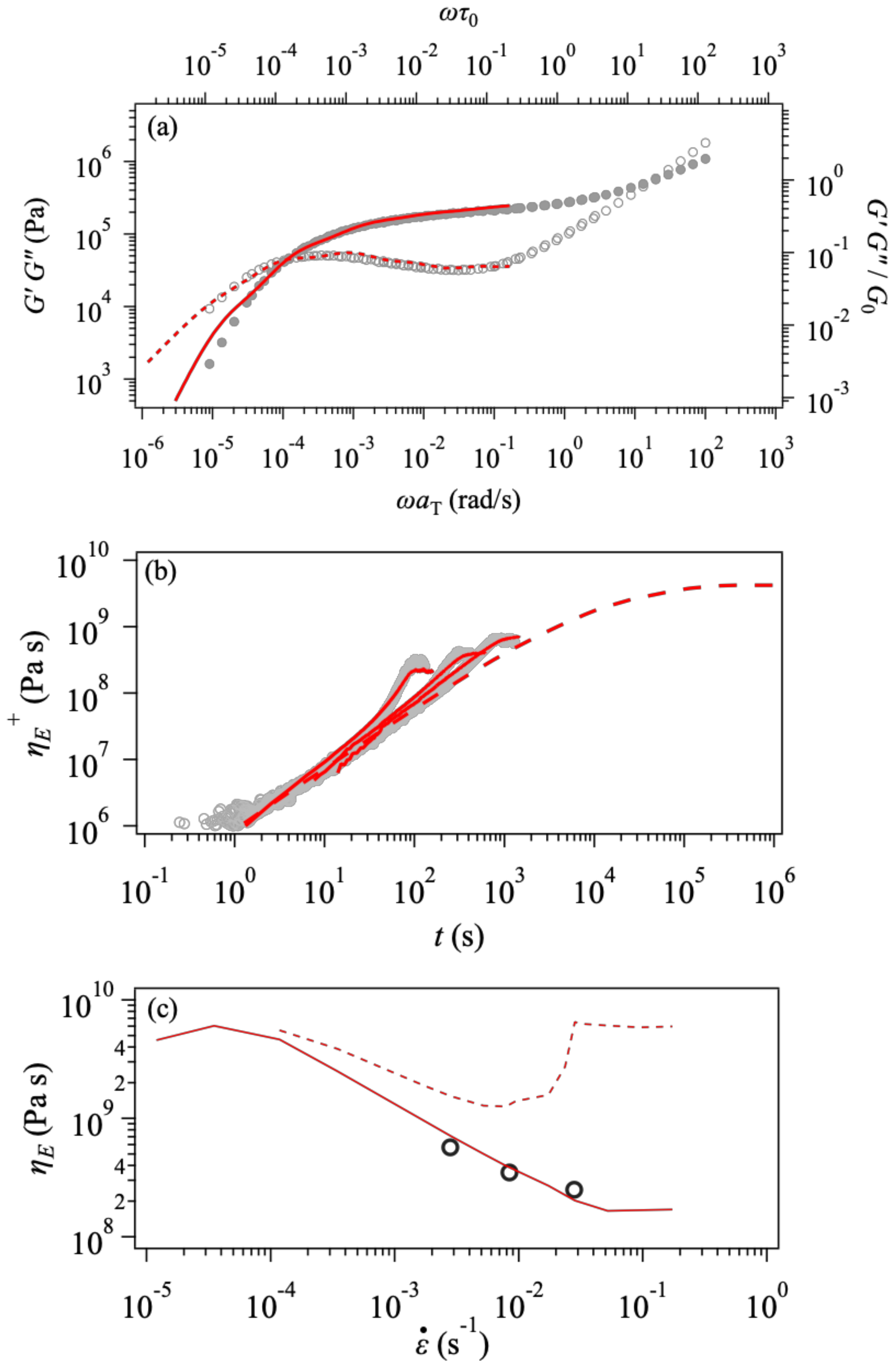 Polymers 14 00741 g005