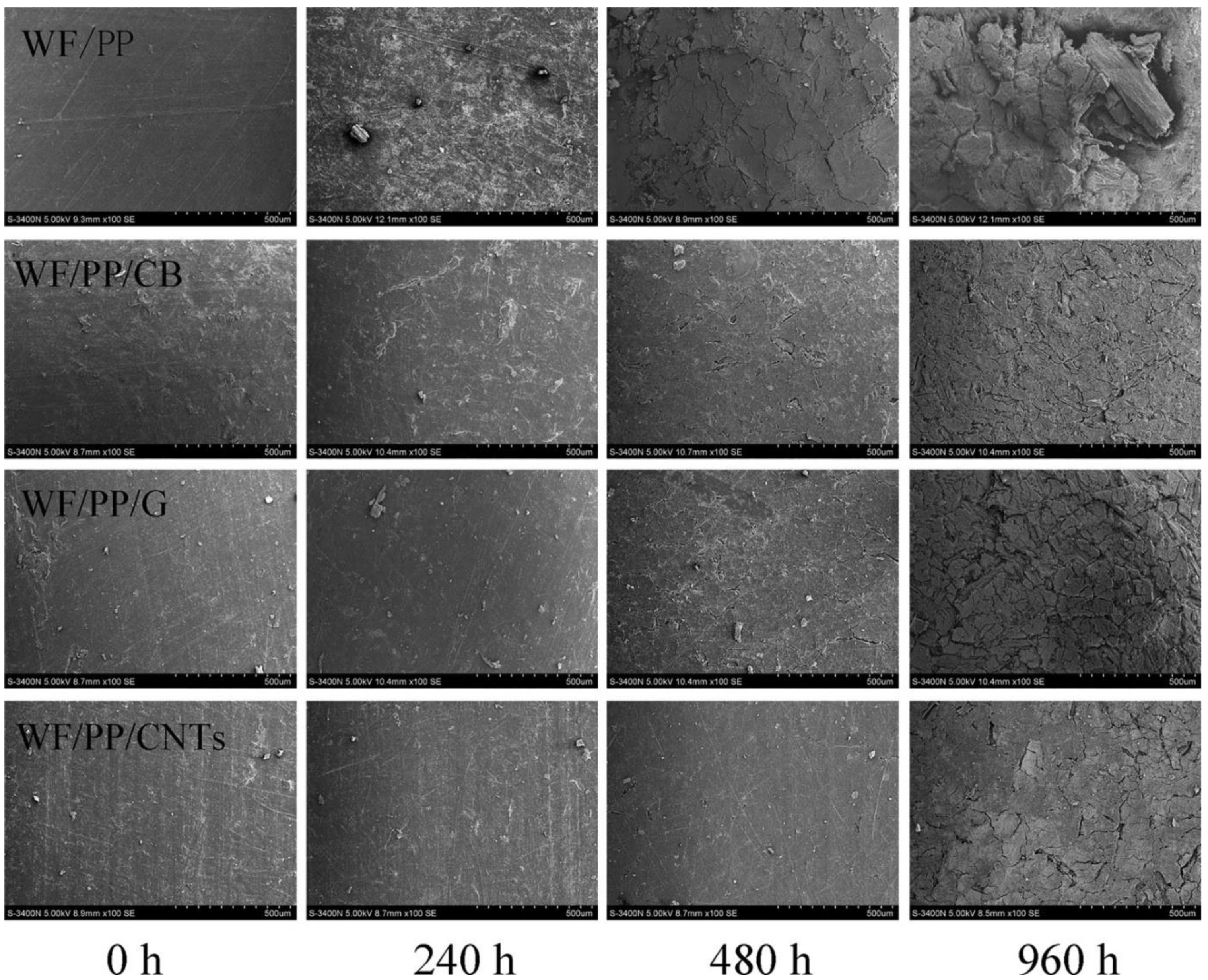 Polymers 14 00745 g006