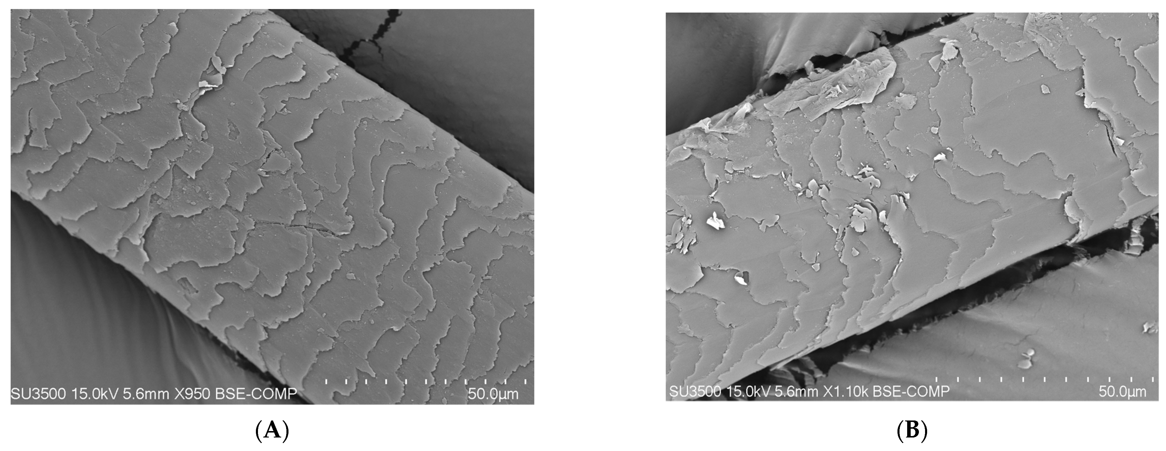 Polymers 14 00749 g007