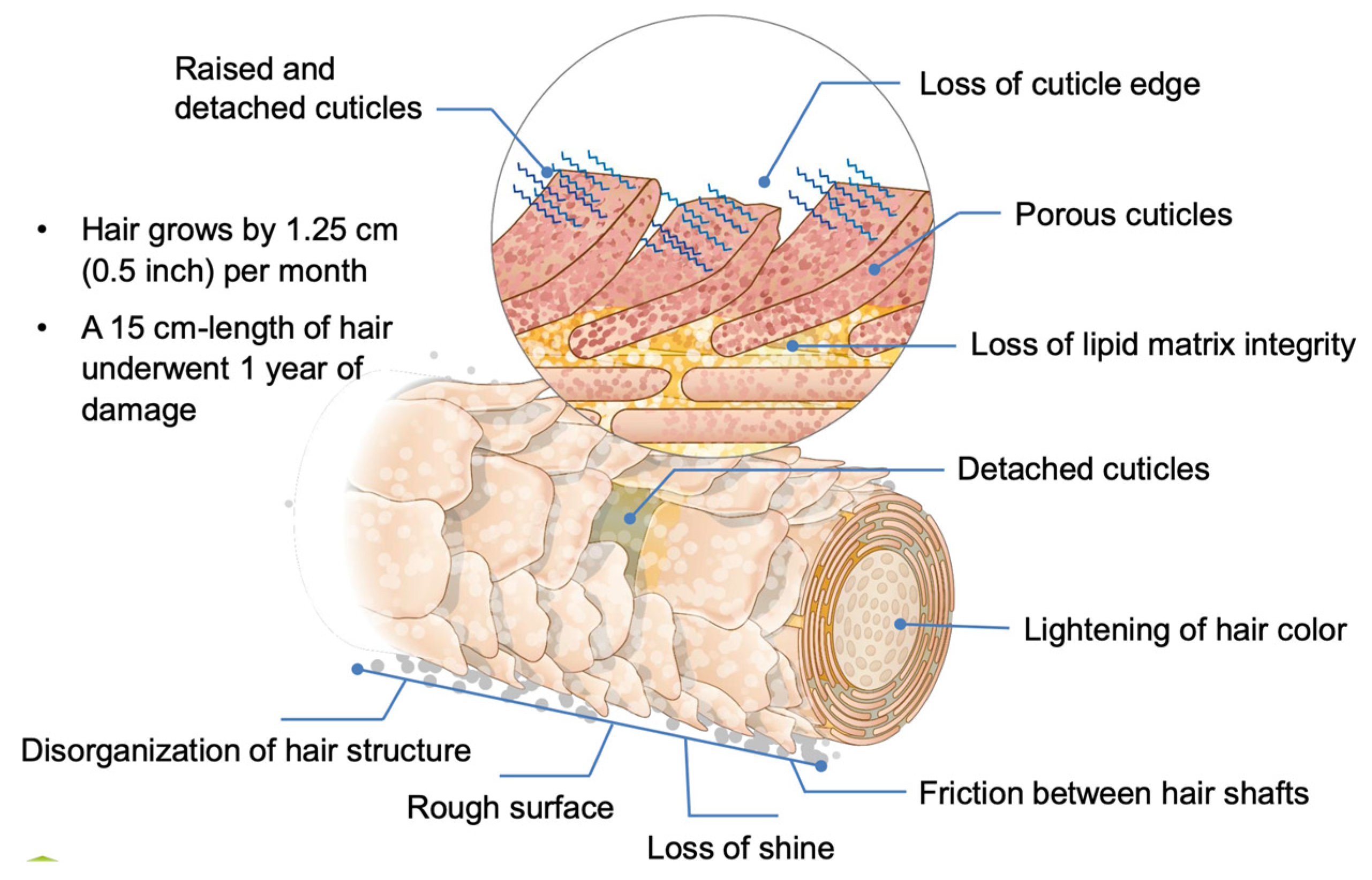 Polymers 14 00749 g010