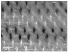 Polymers 14 00755 i020