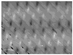Polymers 14 00755 i021