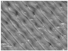 Polymers 14 00755 i023