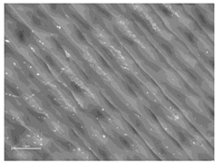 Polymers 14 00755 i024